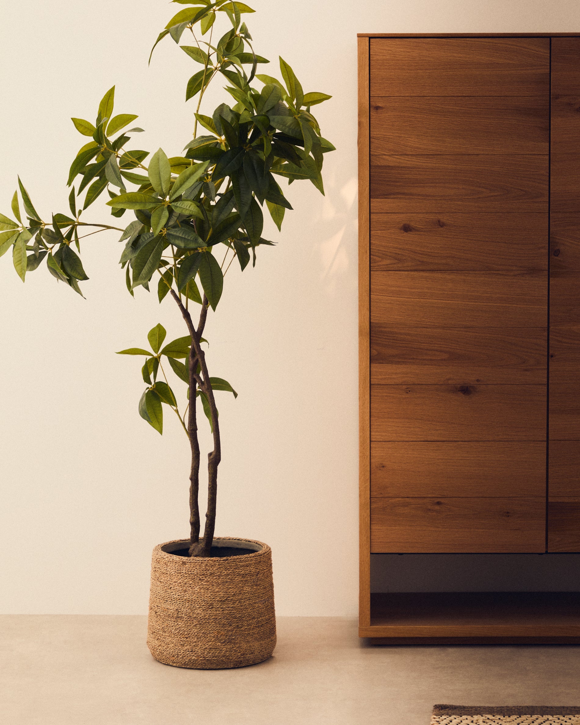 Artificial Pachira tree in black pot 180 cm - Lifestyle