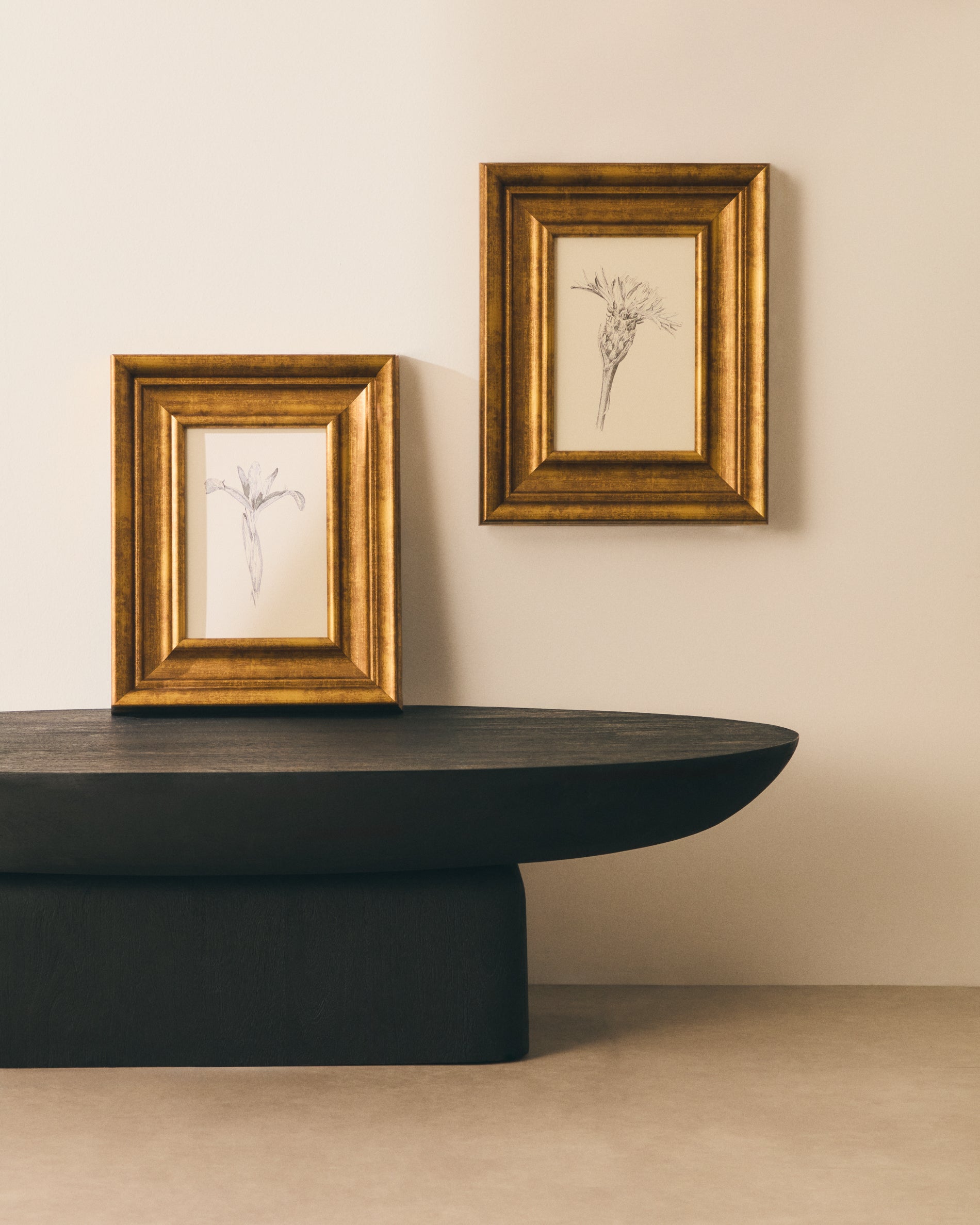 Yalira picture with botanical illustration 32.8 x 70cm - Lifestyle