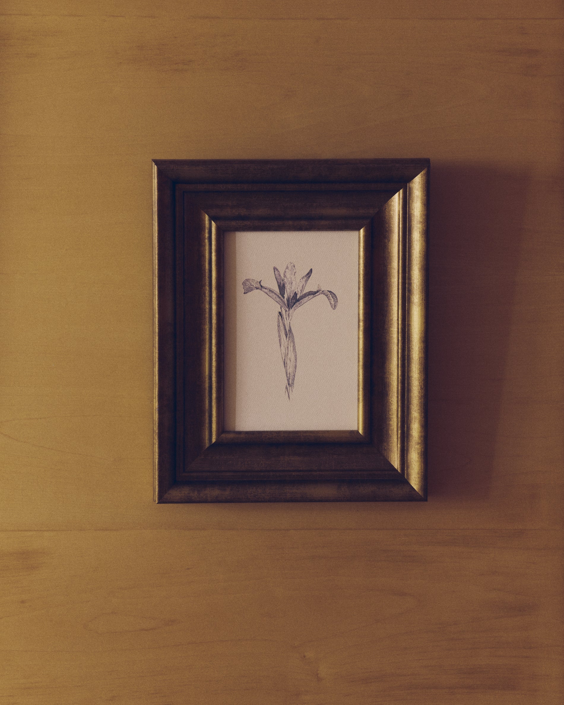 Yalira picture with botanical illustration 32.8 x 70cm - Lifestyle