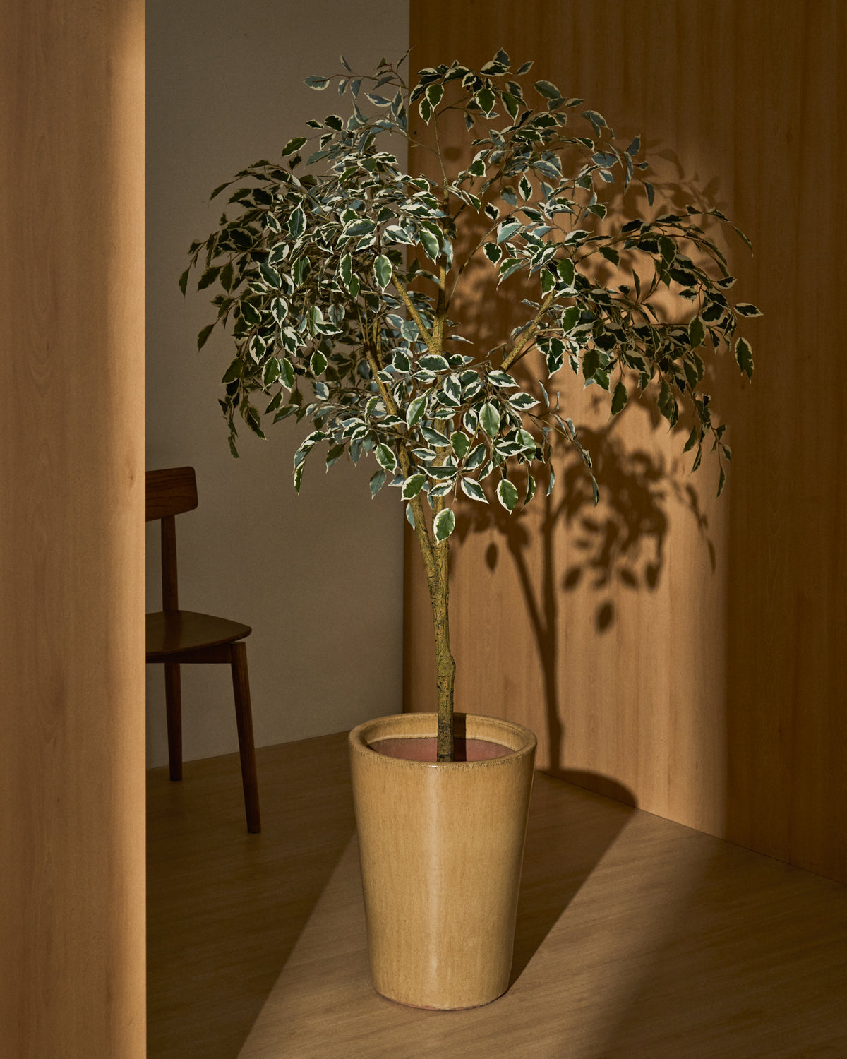Artificial Ficus Benjamina tree with black pot 180 cm - Lifestyle