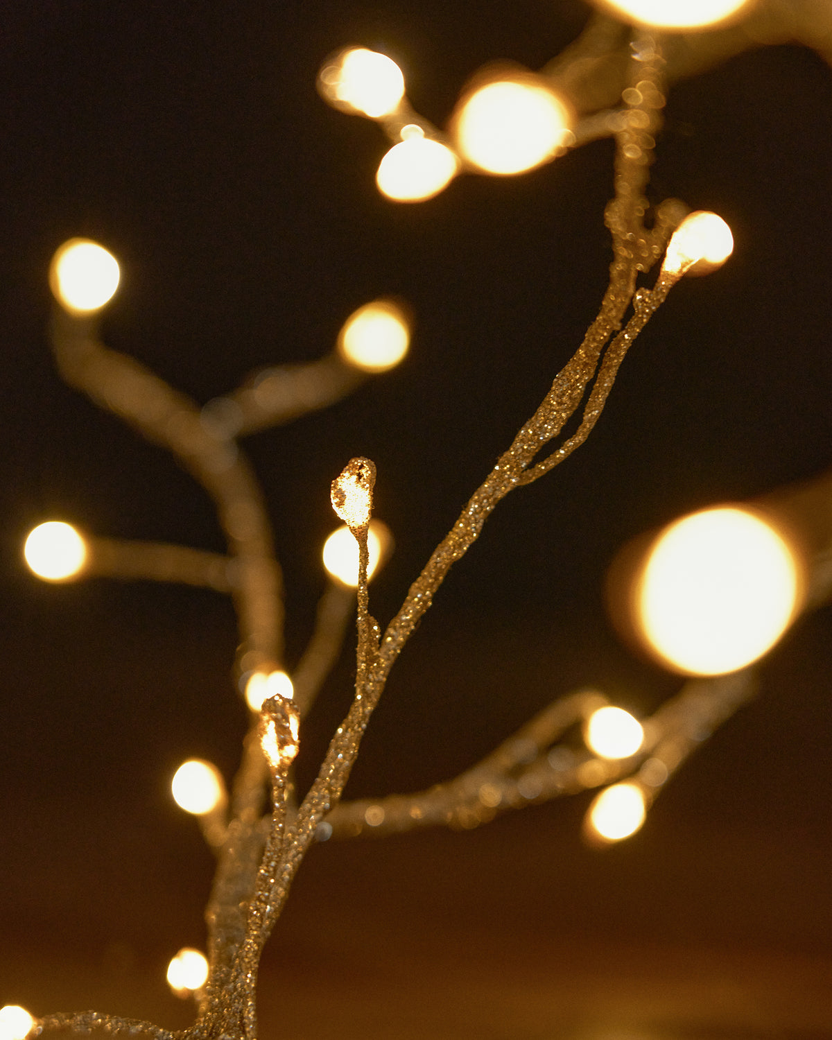 A26S016_008