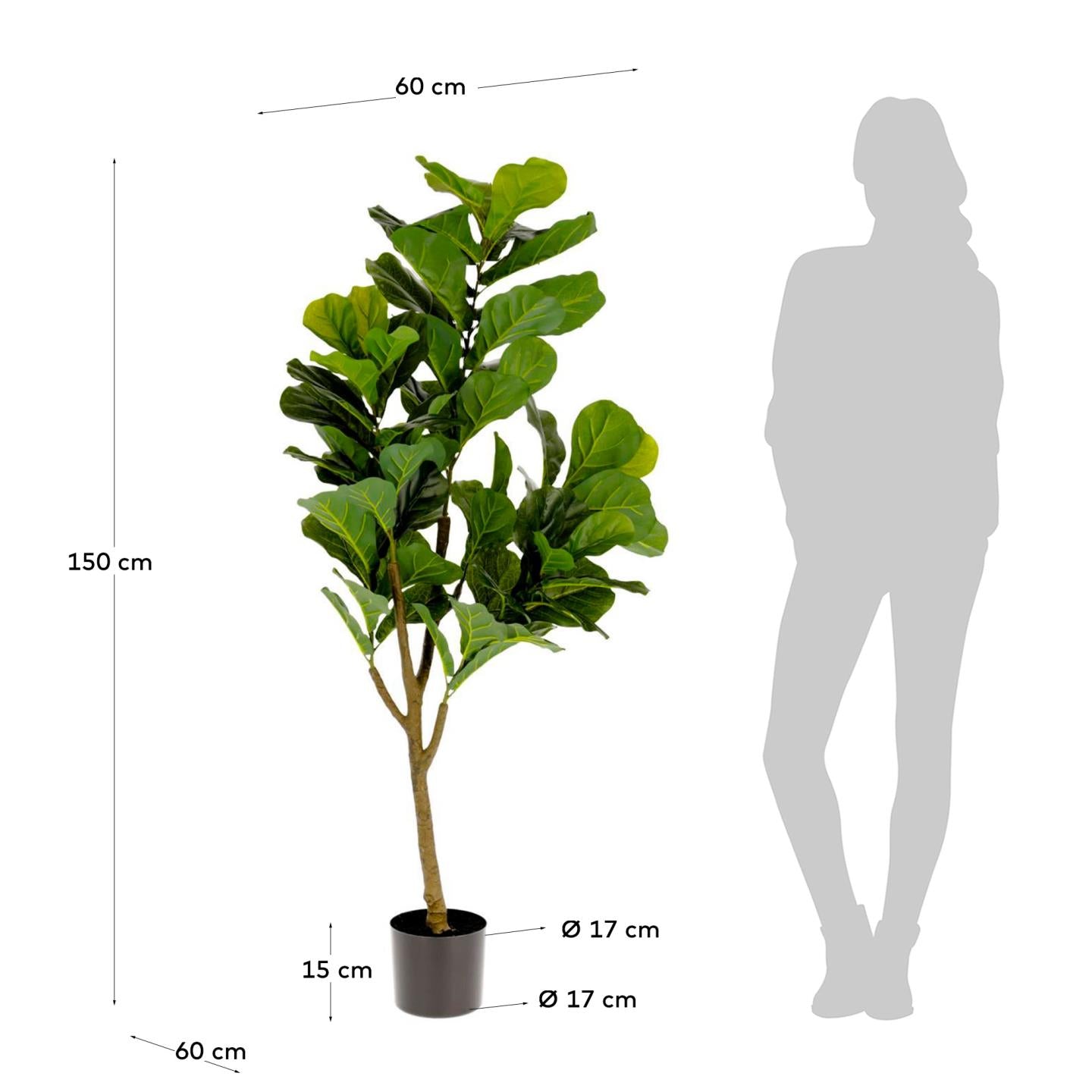 Ficus artificial 150 cm - Measurements