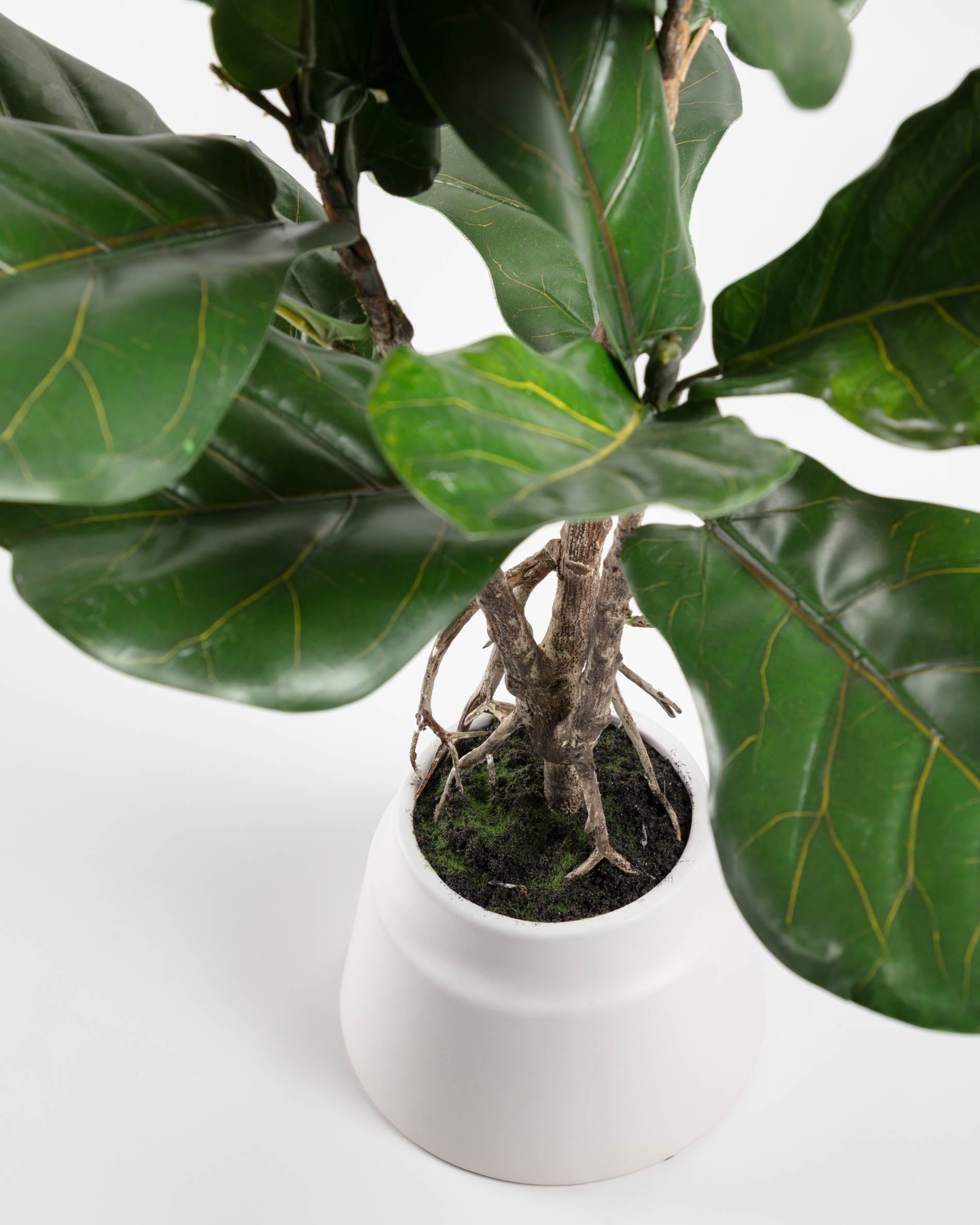 Lyrata artificial plant 60 cm - Detail