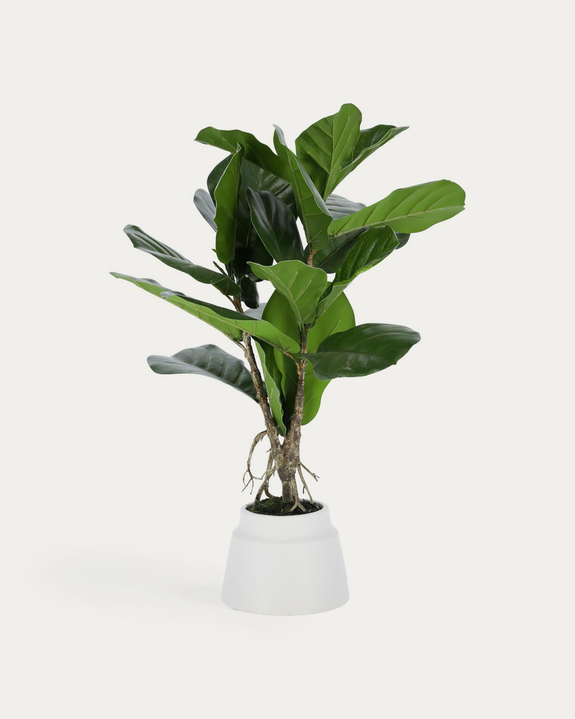 Lyrata artificial plant 60 cm - Product View