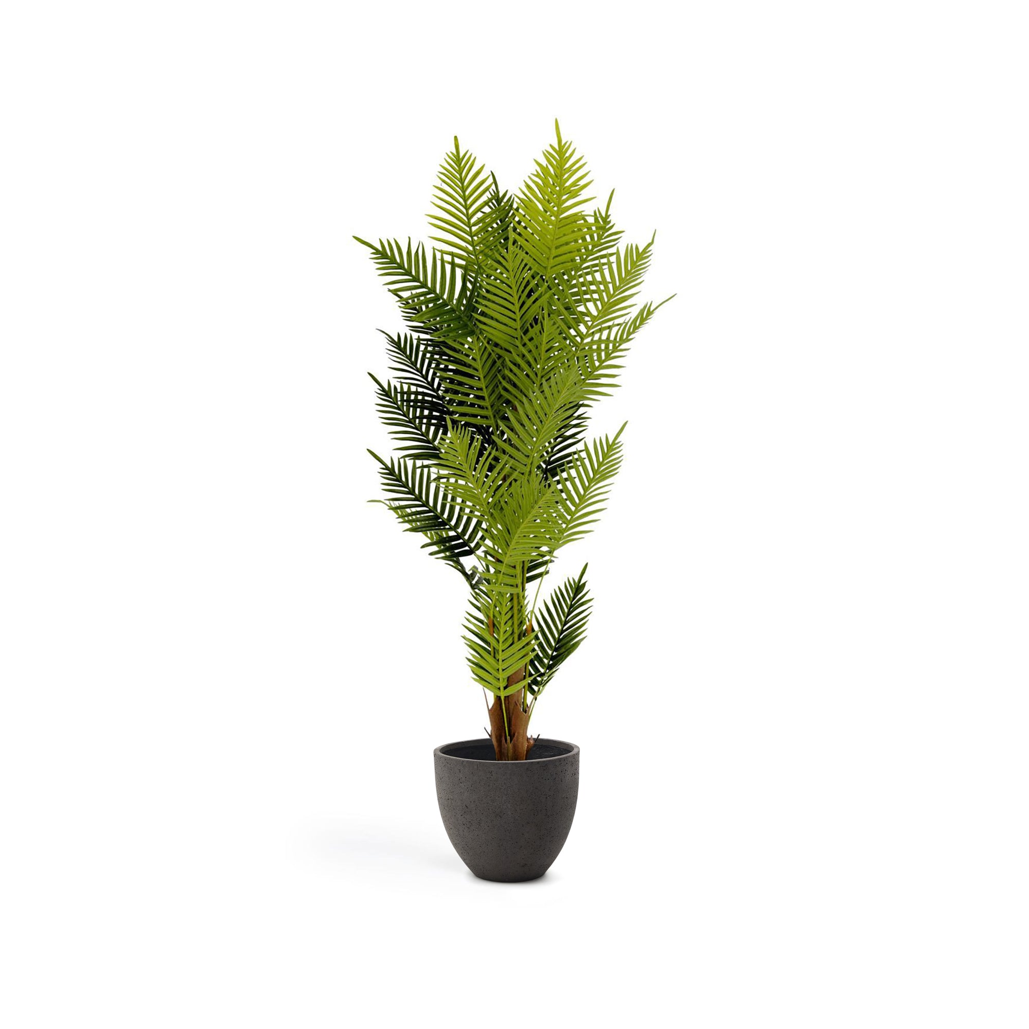 Artificial Fern palm 150 cm - Product Image