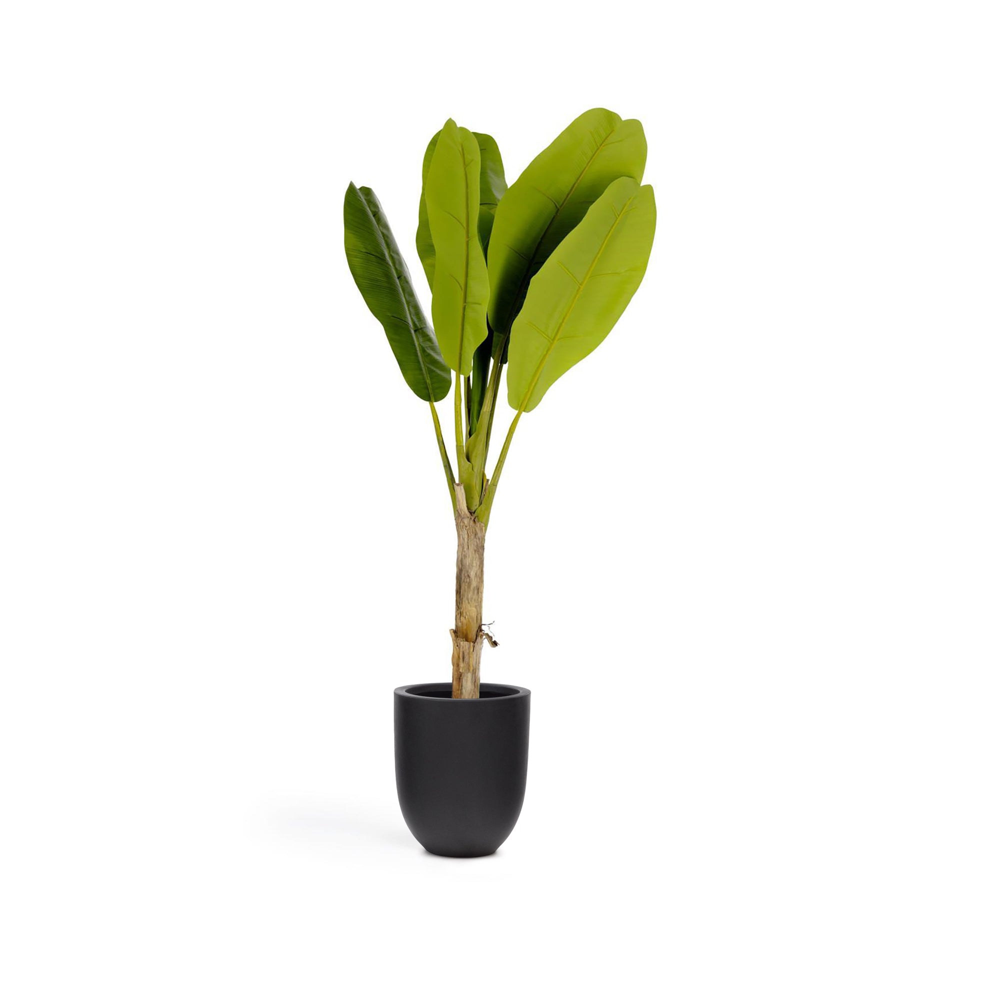 Baa artificial plant 160 cm - Product Image