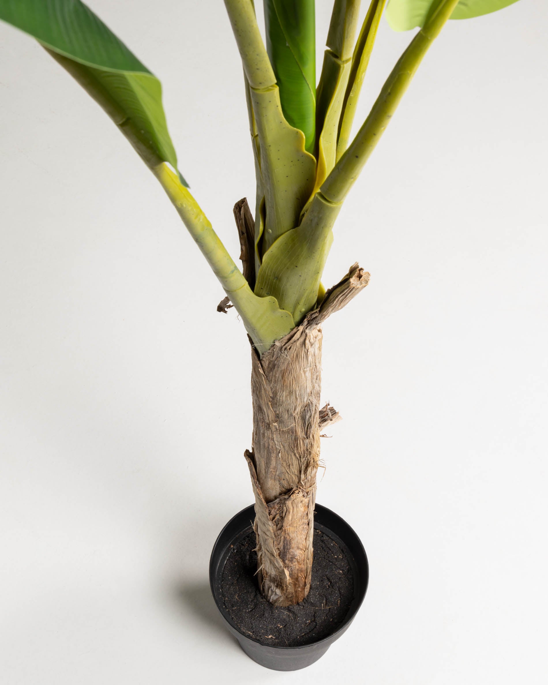 Baa artificial plant 160 cm - Detail