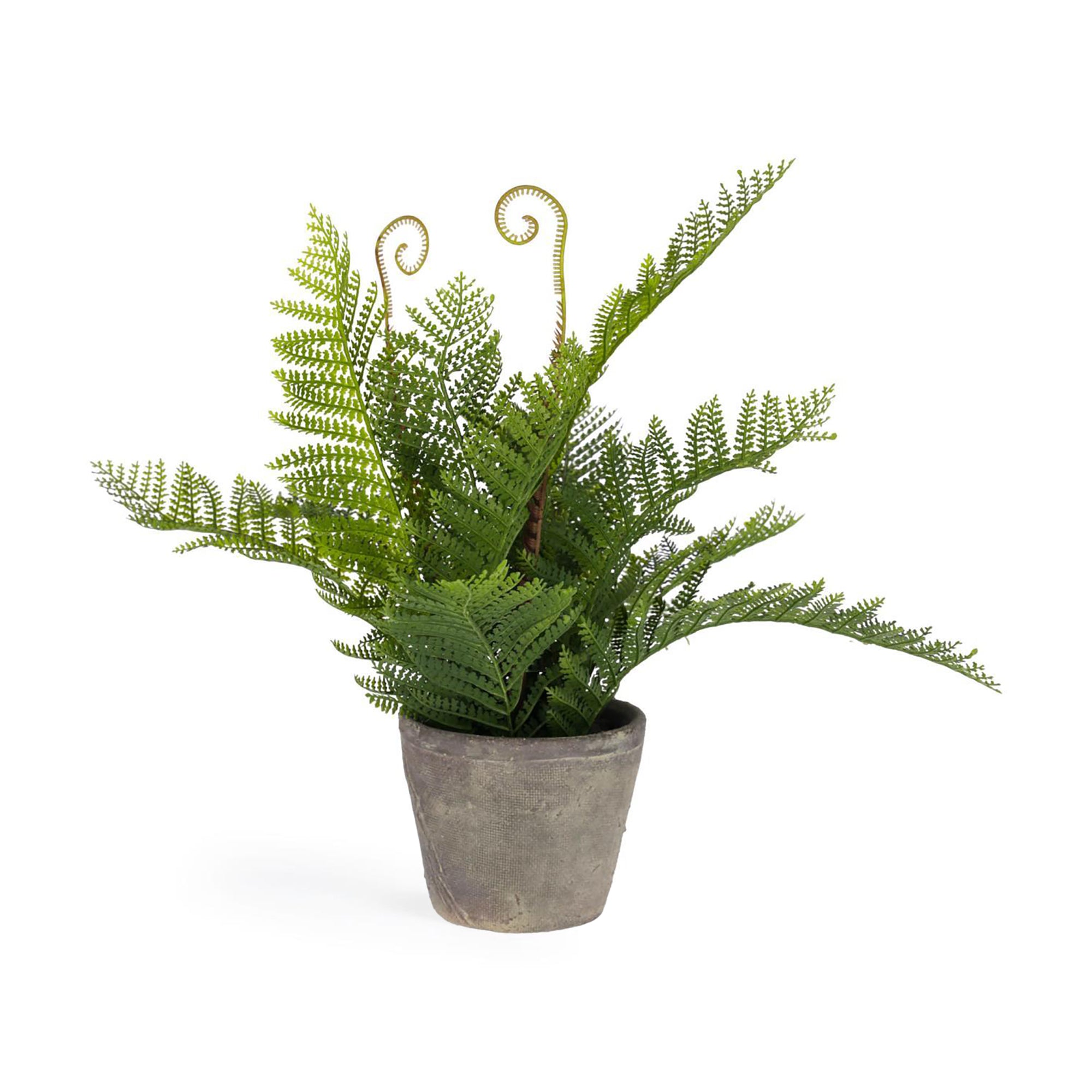 Filicopsida artificial plant - Product Image