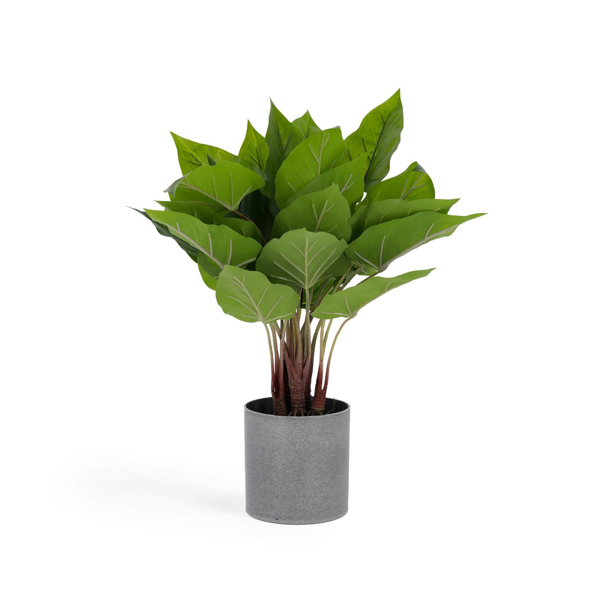 Anthurium artificial plant 50 cm - Product Image