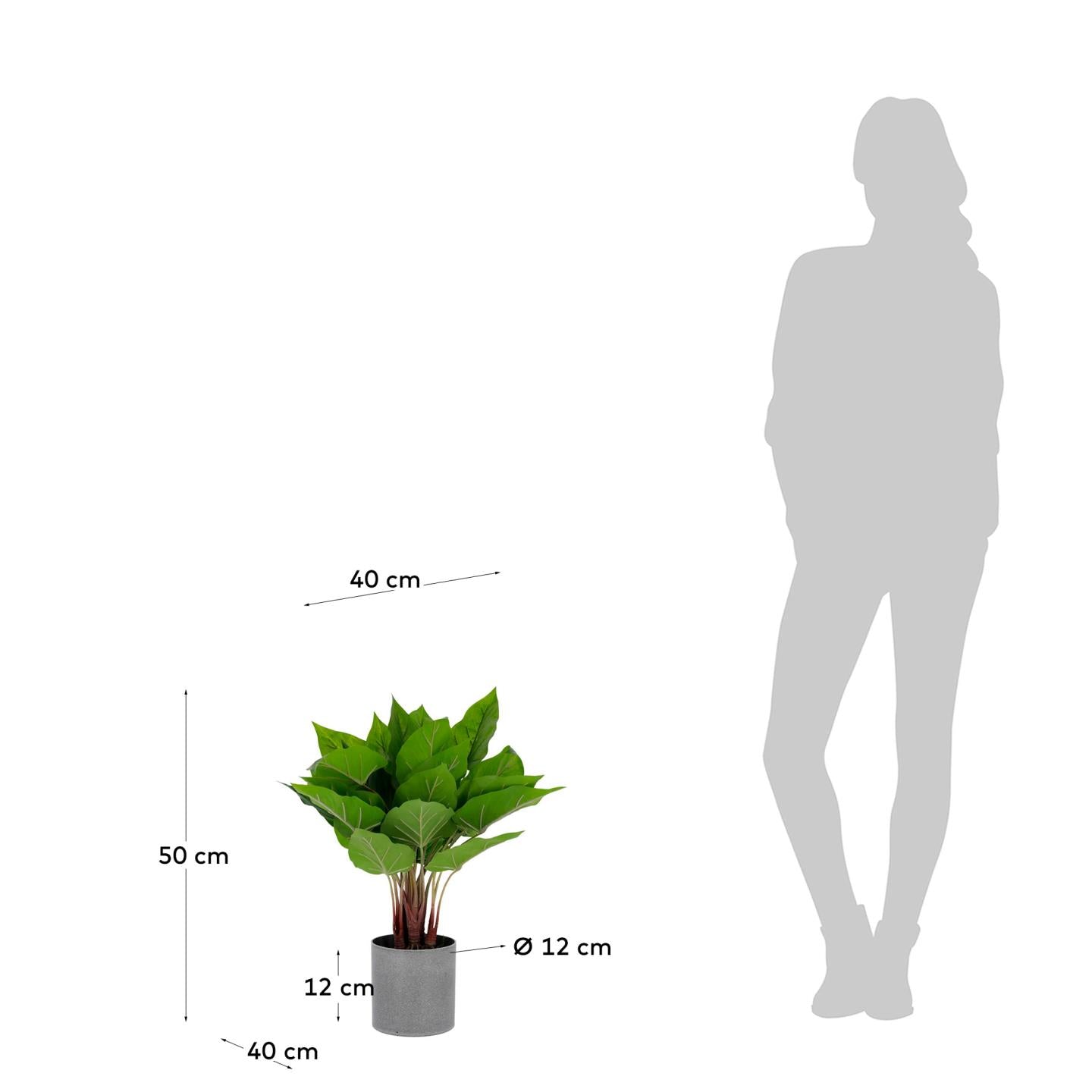 Anthurium artificial plant 50 cm - Measurements