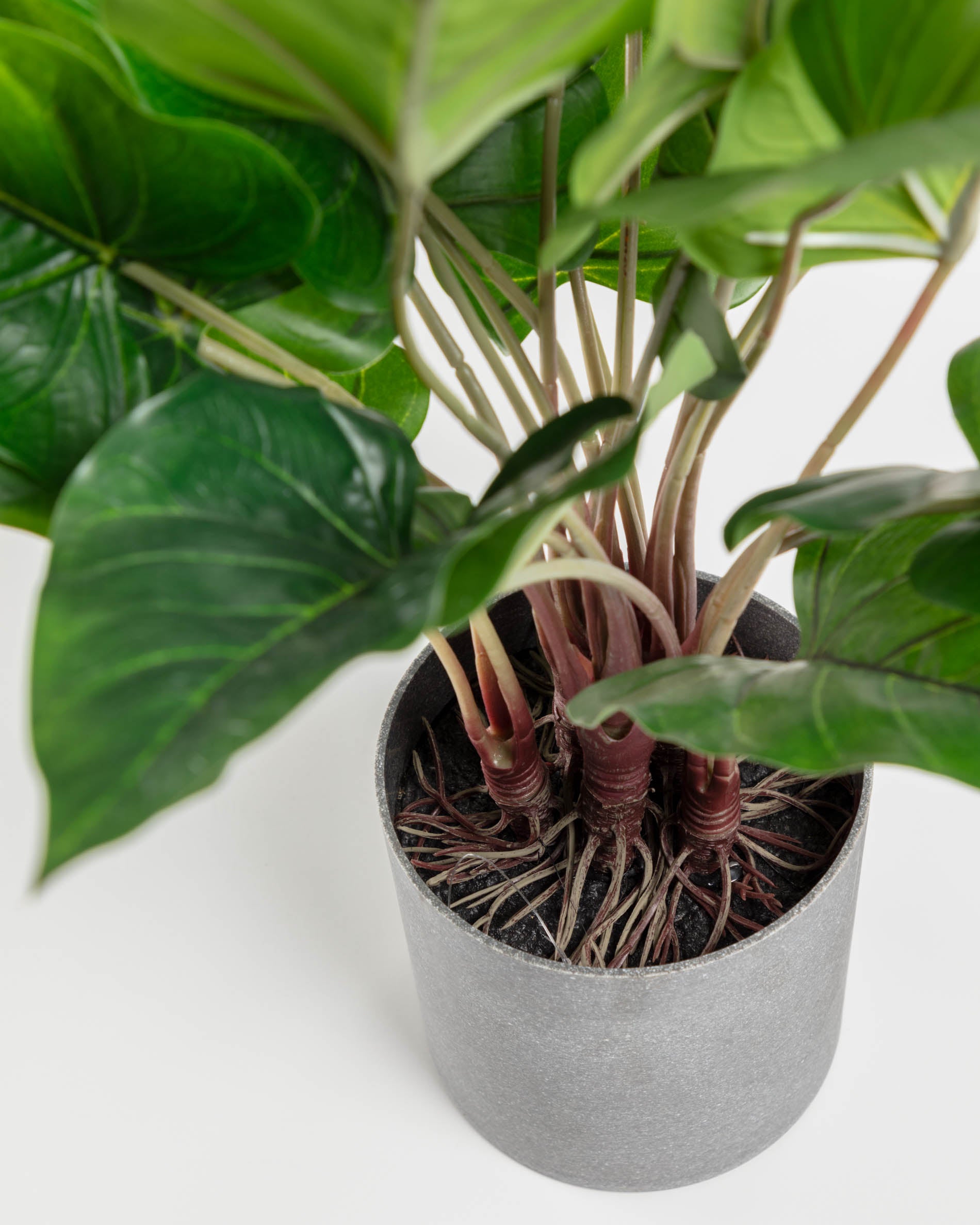 Anthurium artificial plant 50 cm - Detail