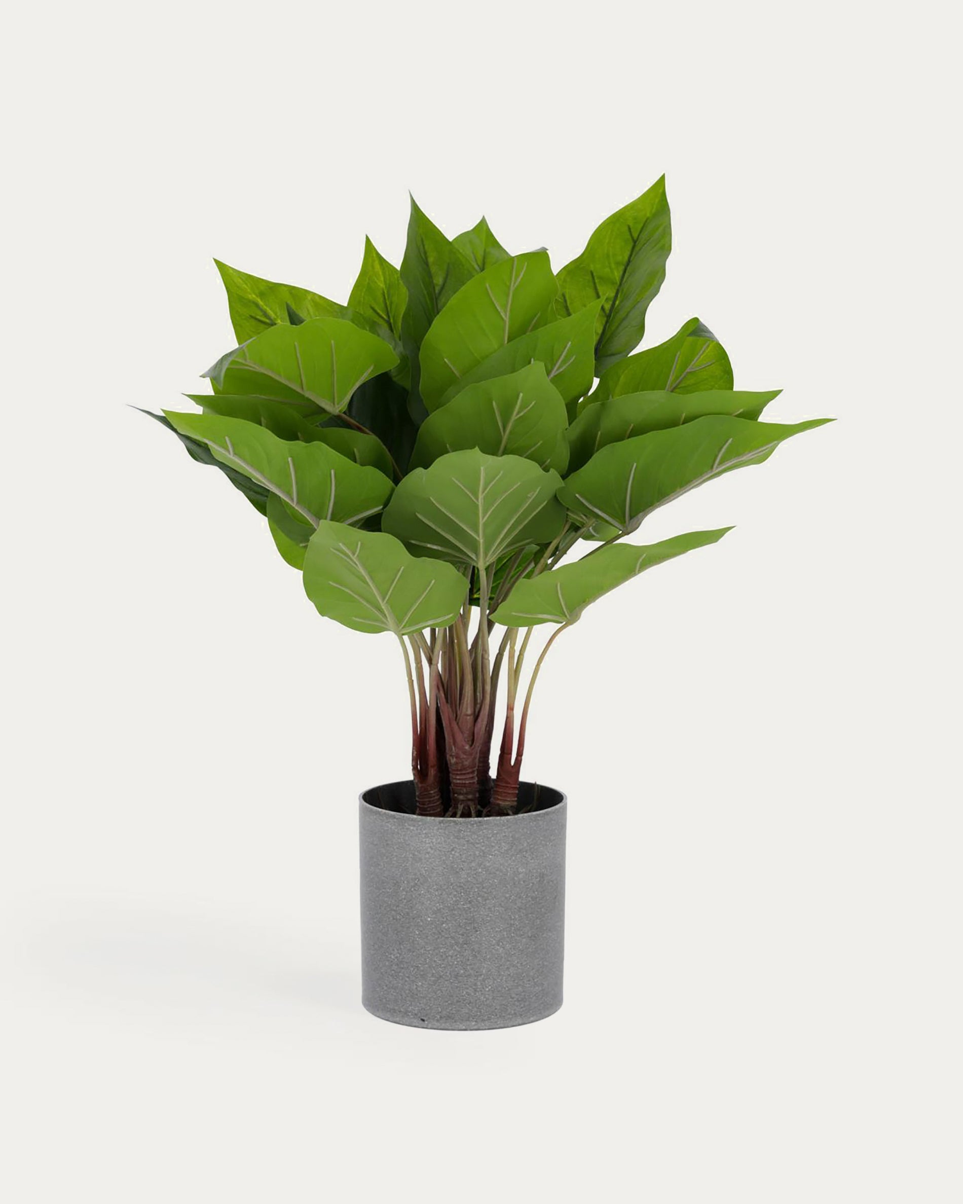 Anthurium artificial plant 50 cm - Product View