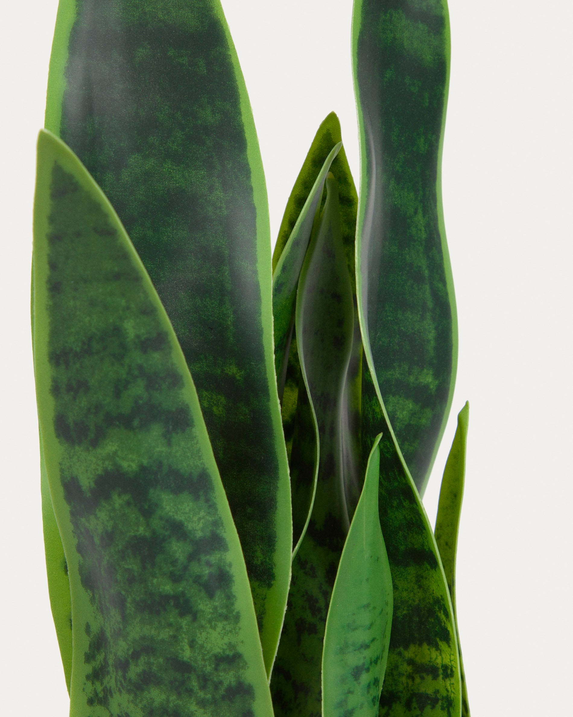 Artificial Sansevieria with white plantpot 55 cm - Detail