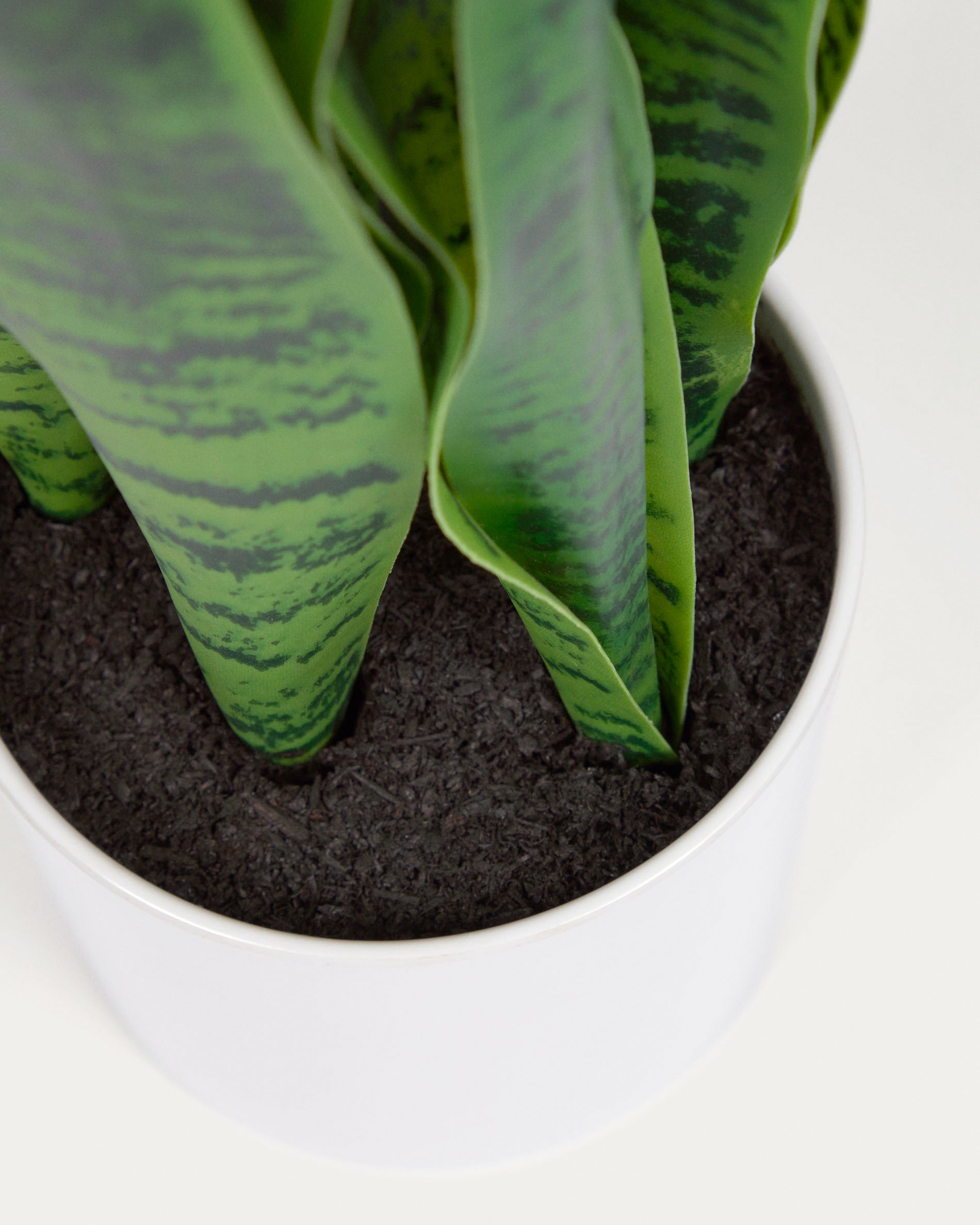 Artificial Sansevieria with white plantpot 55 cm - Detail