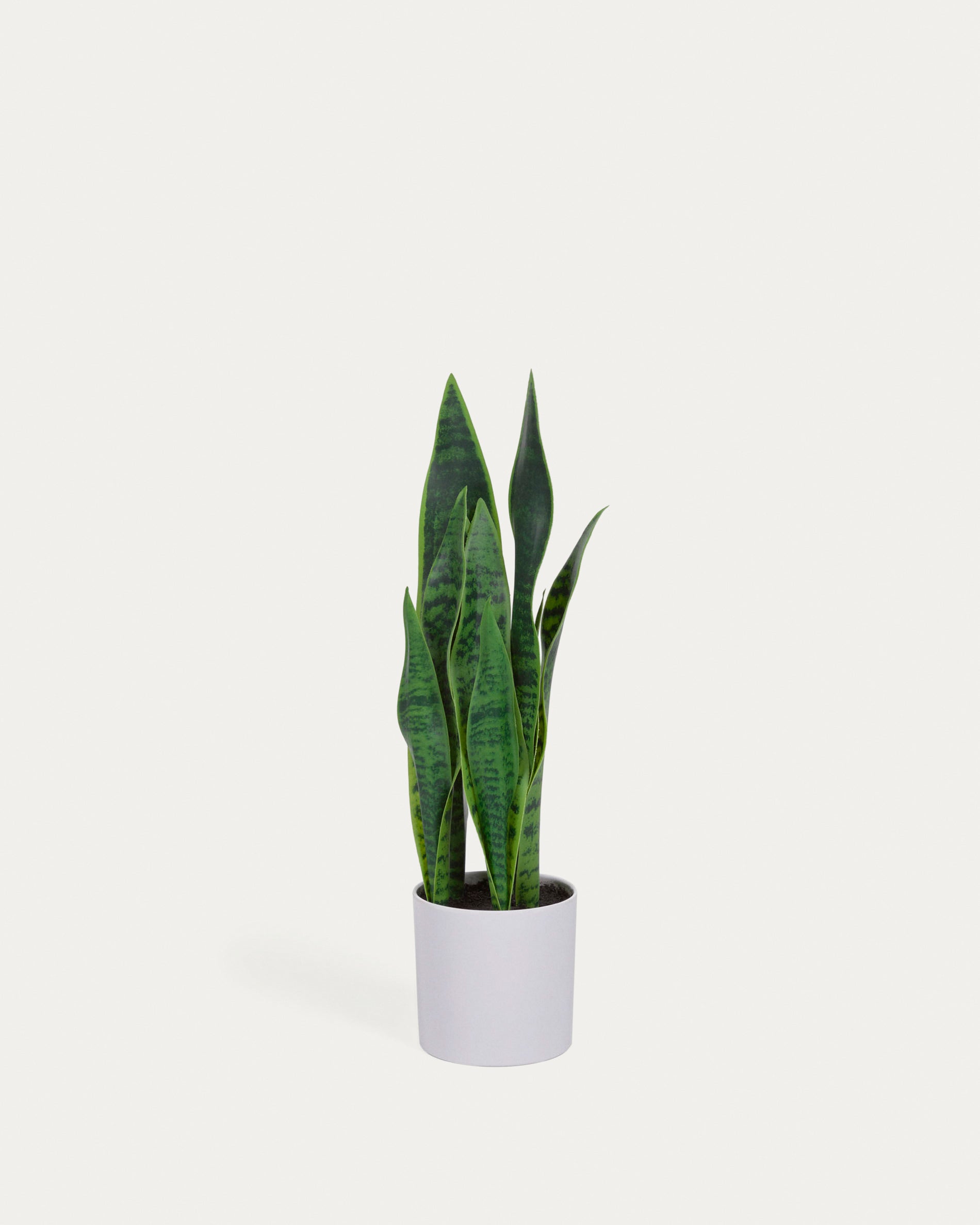 Artificial Sansevieria with white plantpot 55 cm - Product View