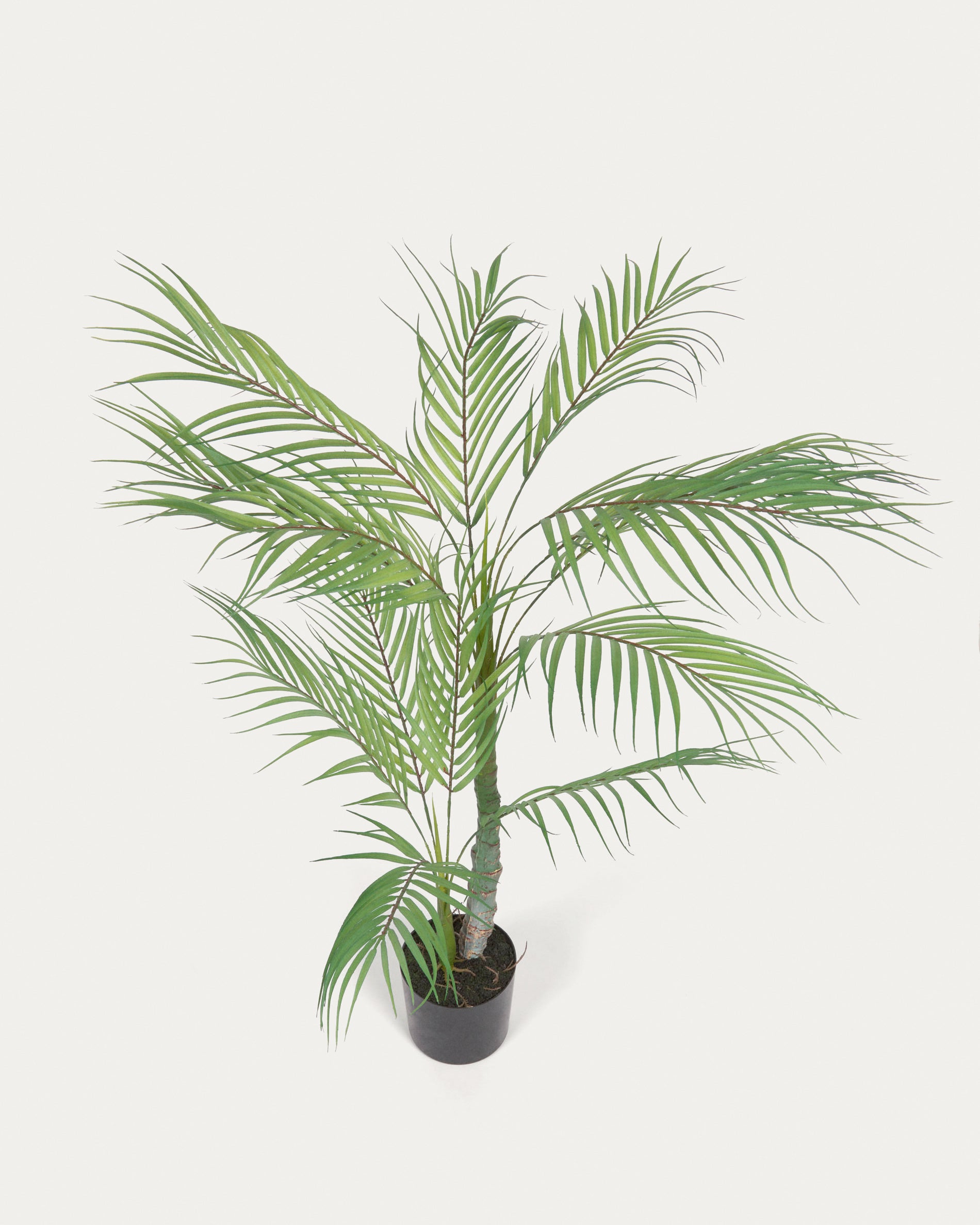 Artificial Palm Tree with black plantpot 70 cm - Detail