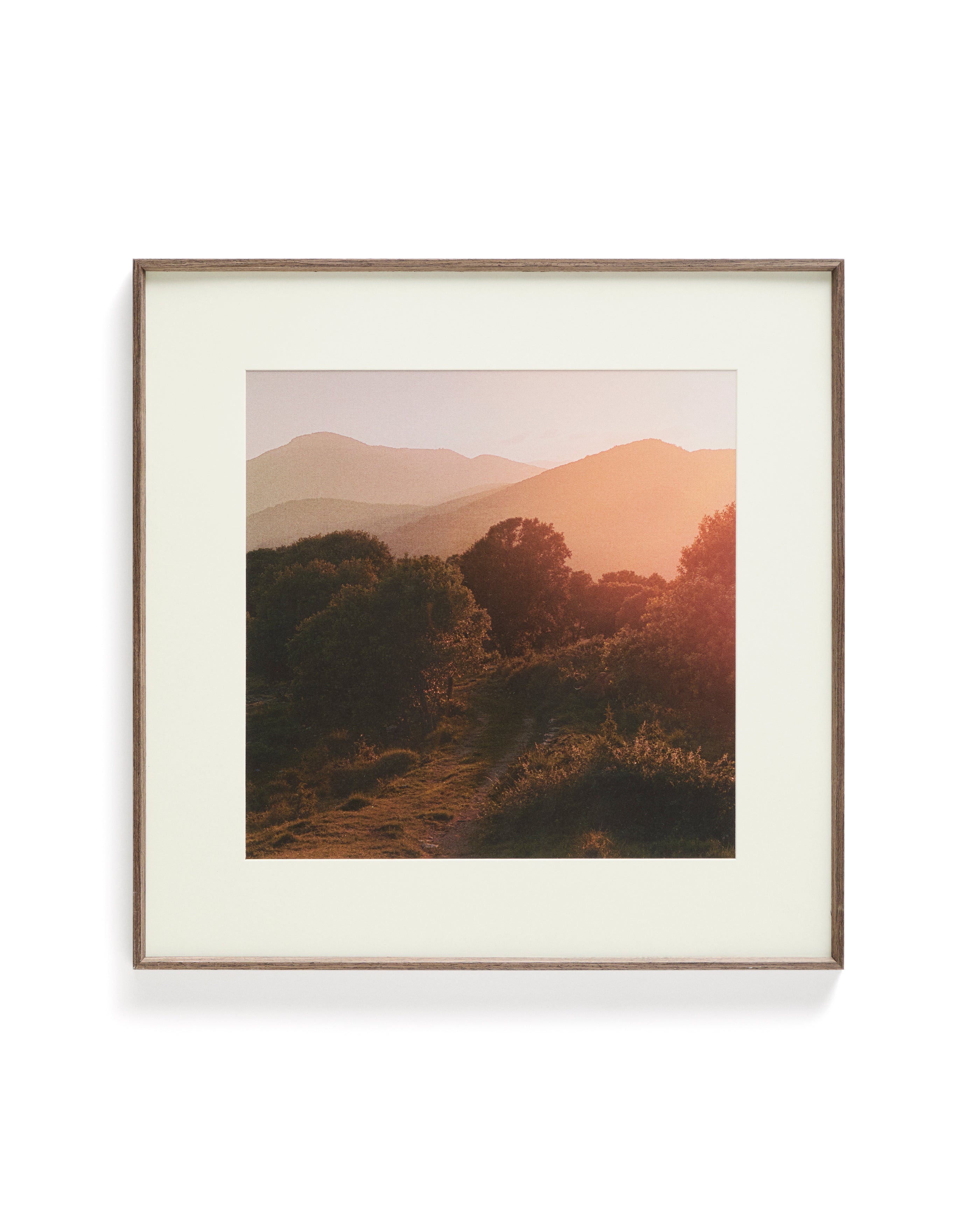 Zavira picture with photograph of La Garrotxa landscape 58 x 58cm - Product Image