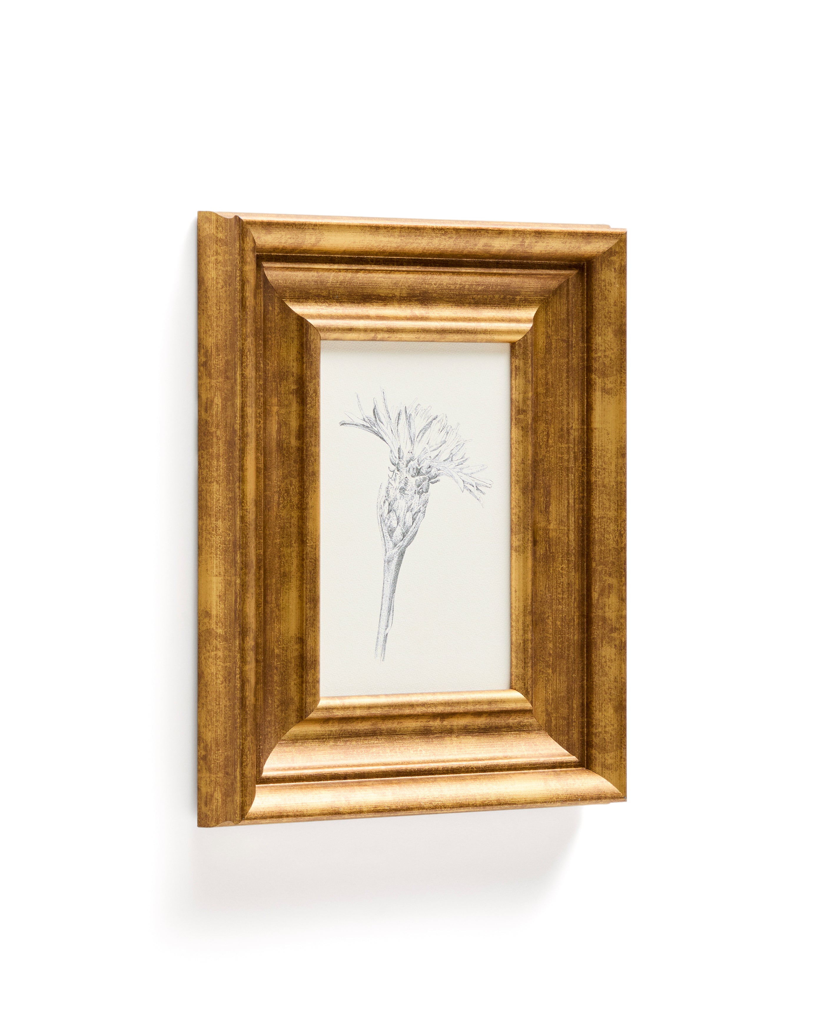 Yalira picture with botanical illustration 32.8 x 70cm - Product Image