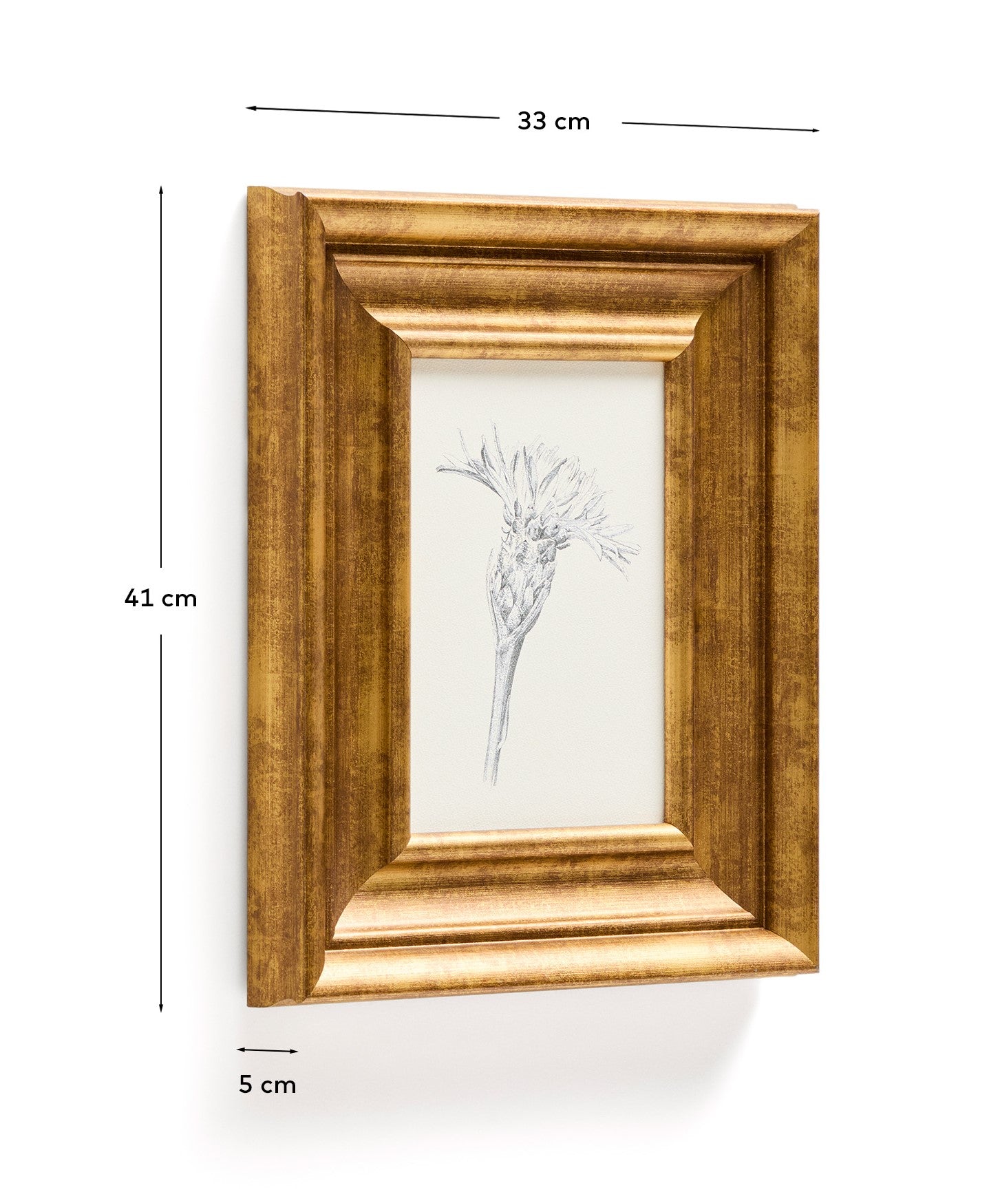 Yalira picture with botanical illustration 32.8 x 70cm - Measurements