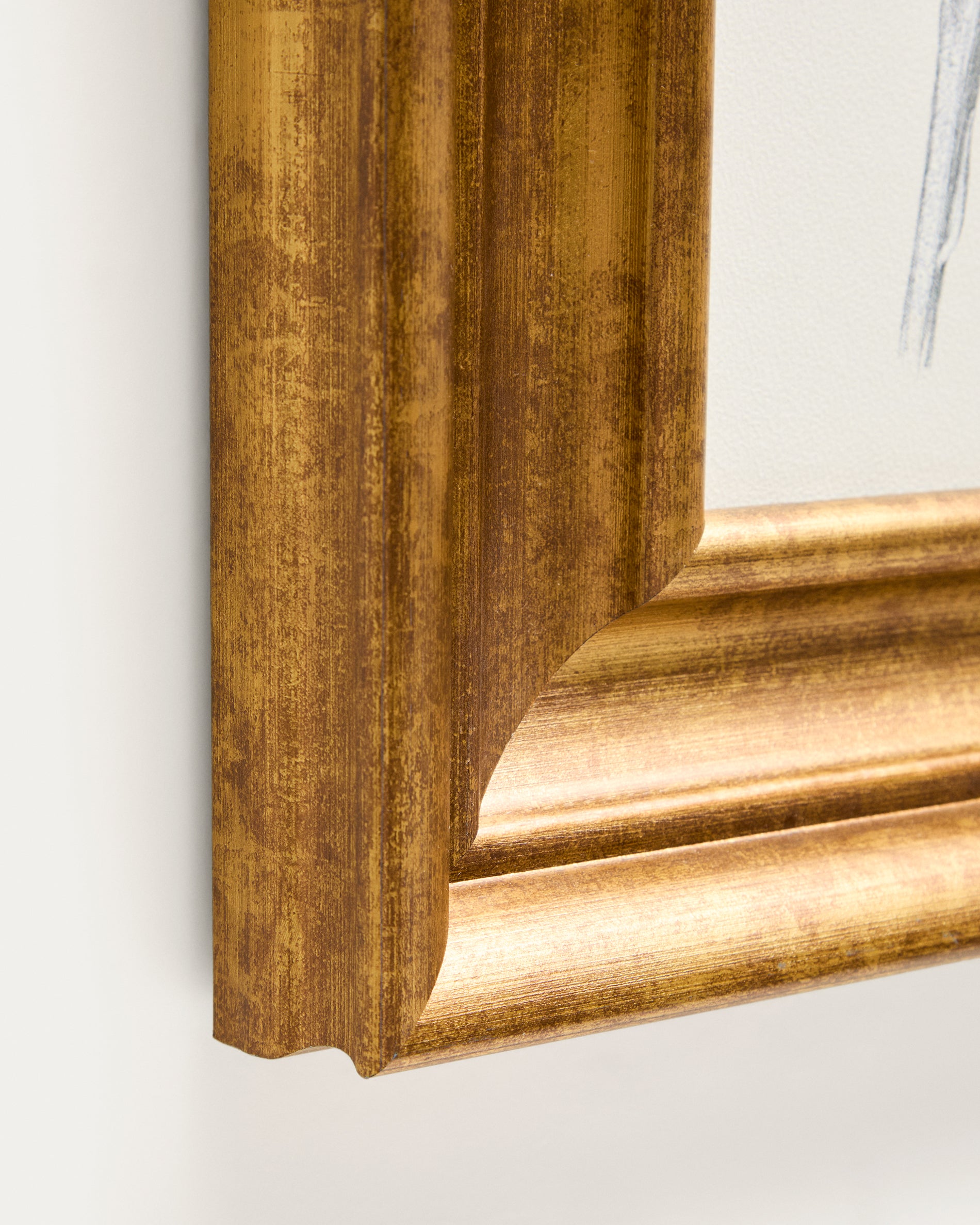 Yalira picture with botanical illustration 32.8 x 70cm - Detail
