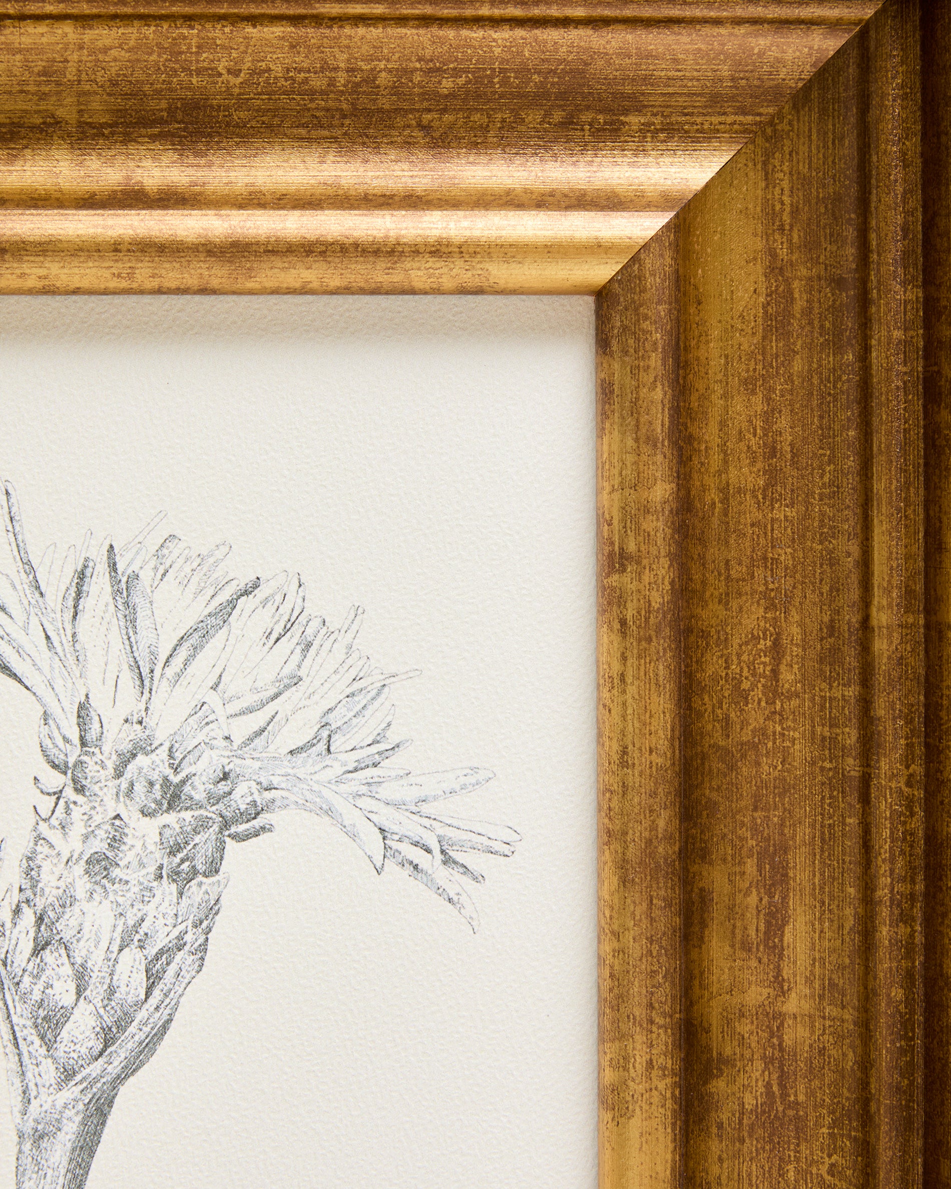 Yalira picture with botanical illustration 32.8 x 70cm - Detail