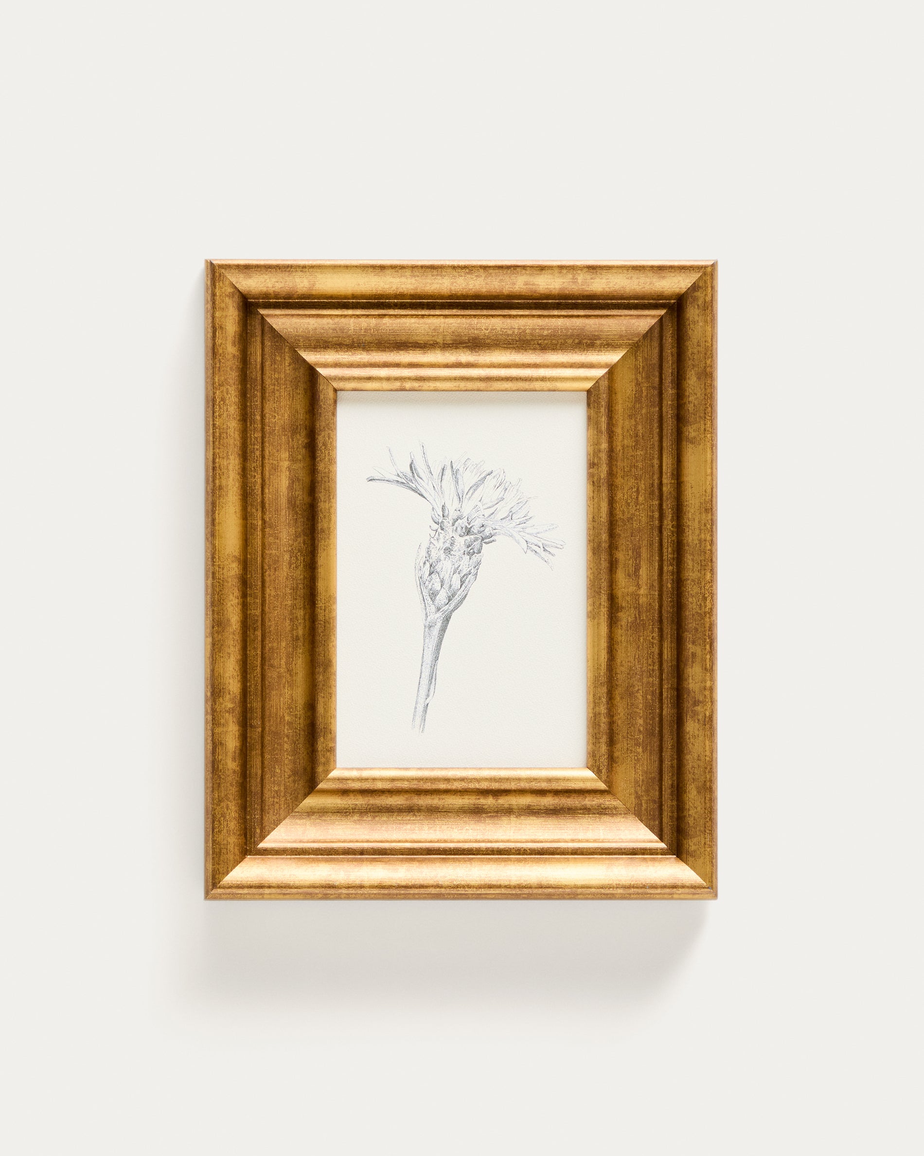 Yalira picture with botanical illustration 32.8 x 70cm - Product View