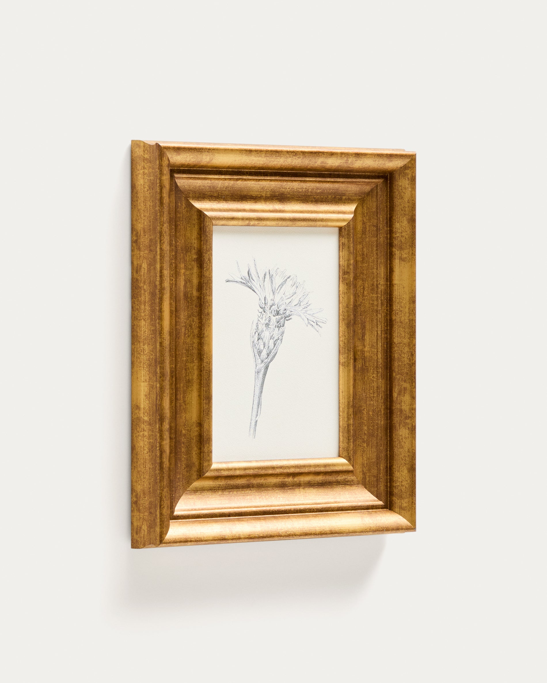 Yalira picture with botanical illustration 32.8 x 70cm - Product View