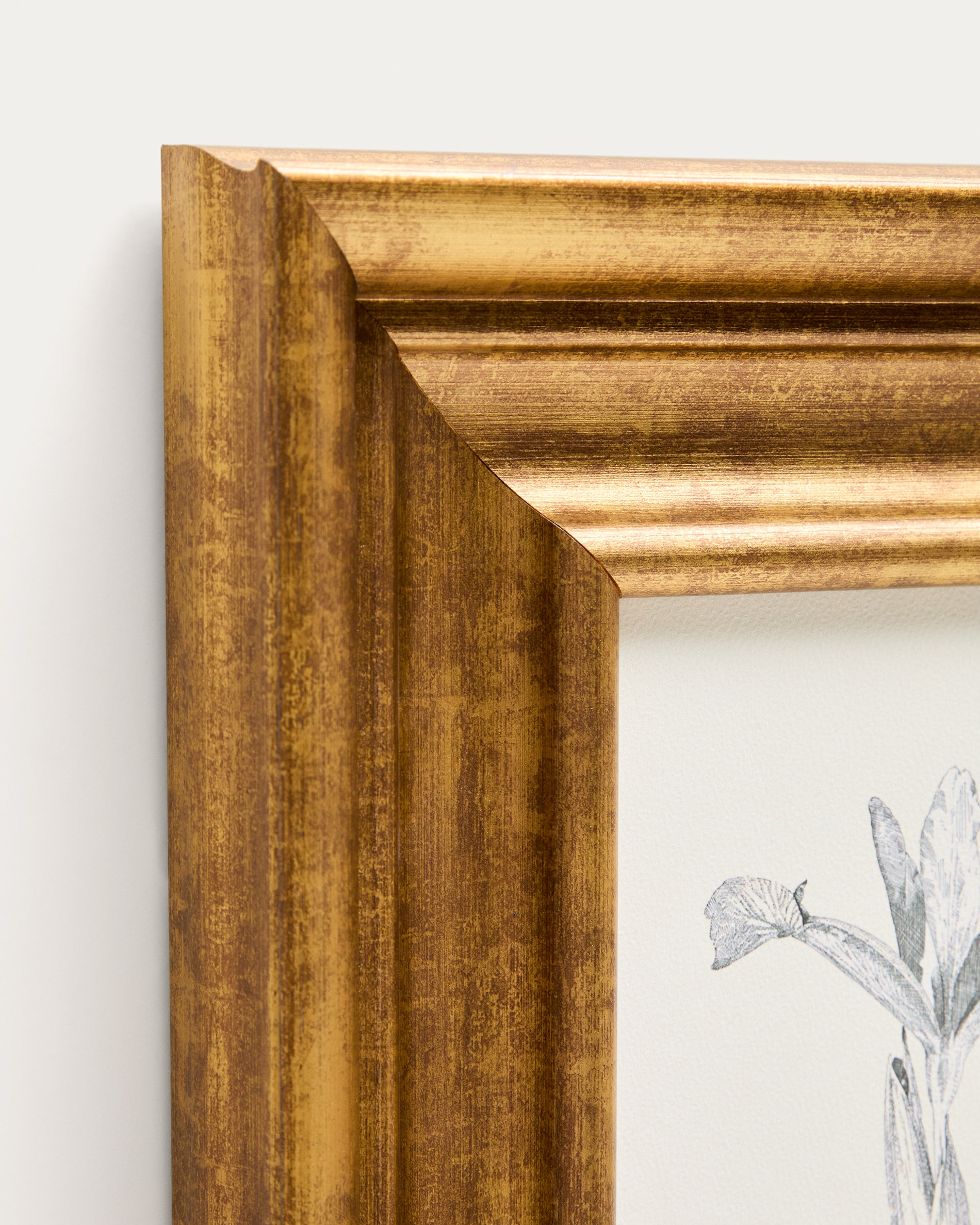 Yalira picture with botanical illustration 32.8 x 70cm - Detail
