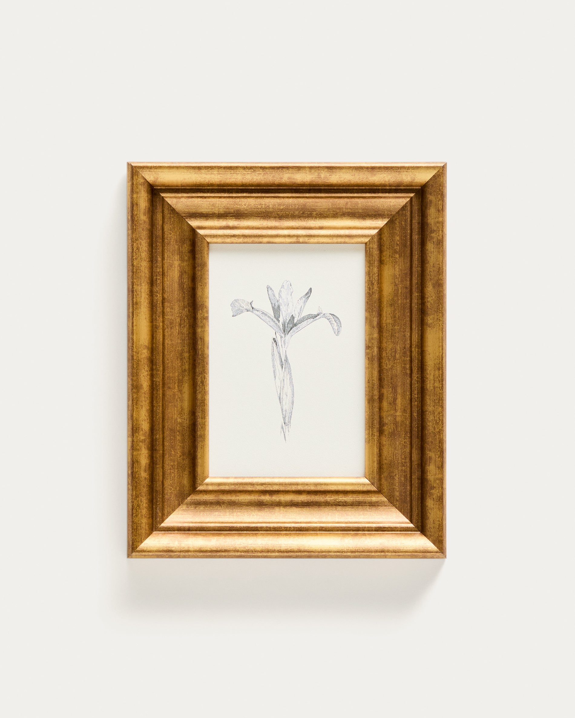 Yalira picture with botanical illustration 32.8 x 70cm - Product View