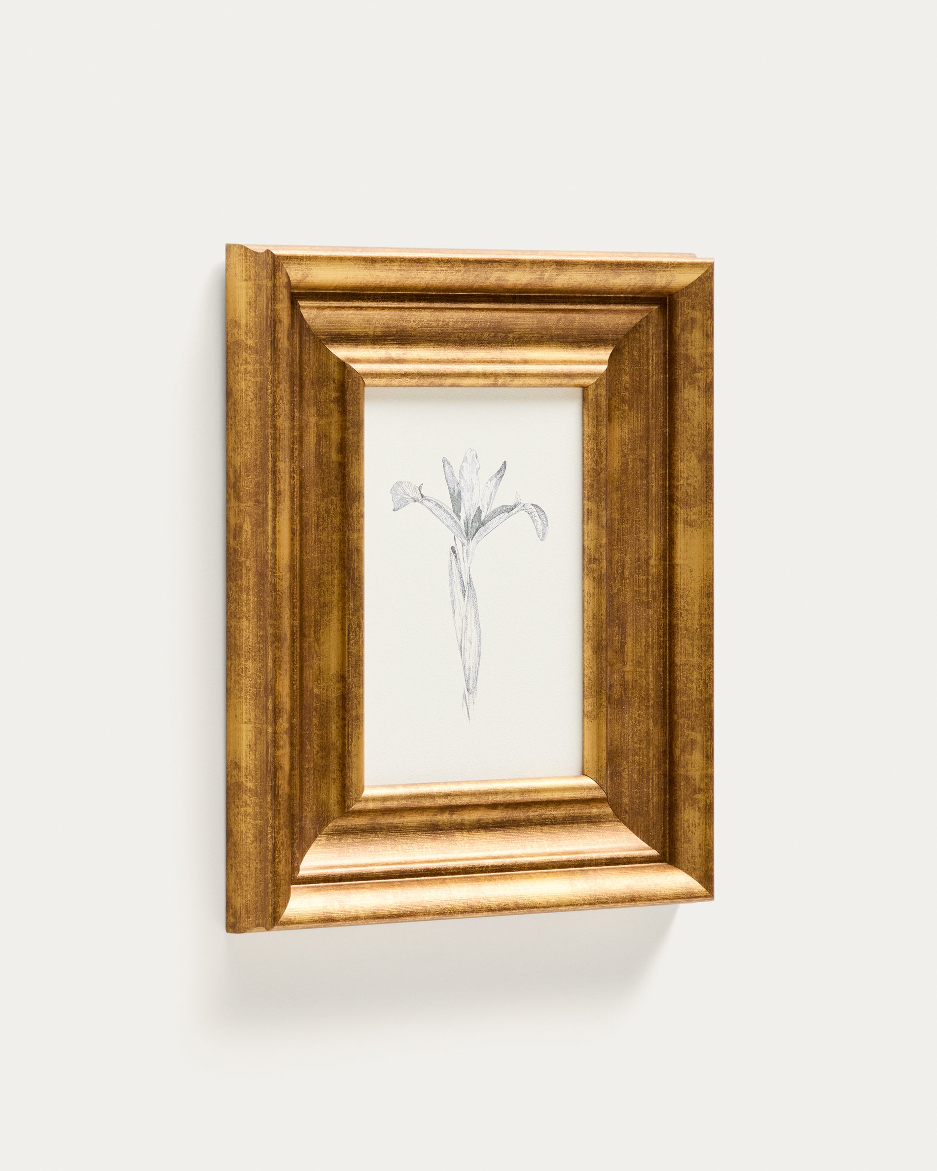 Yalira picture with botanical illustration 32.8 x 70cm - Product View