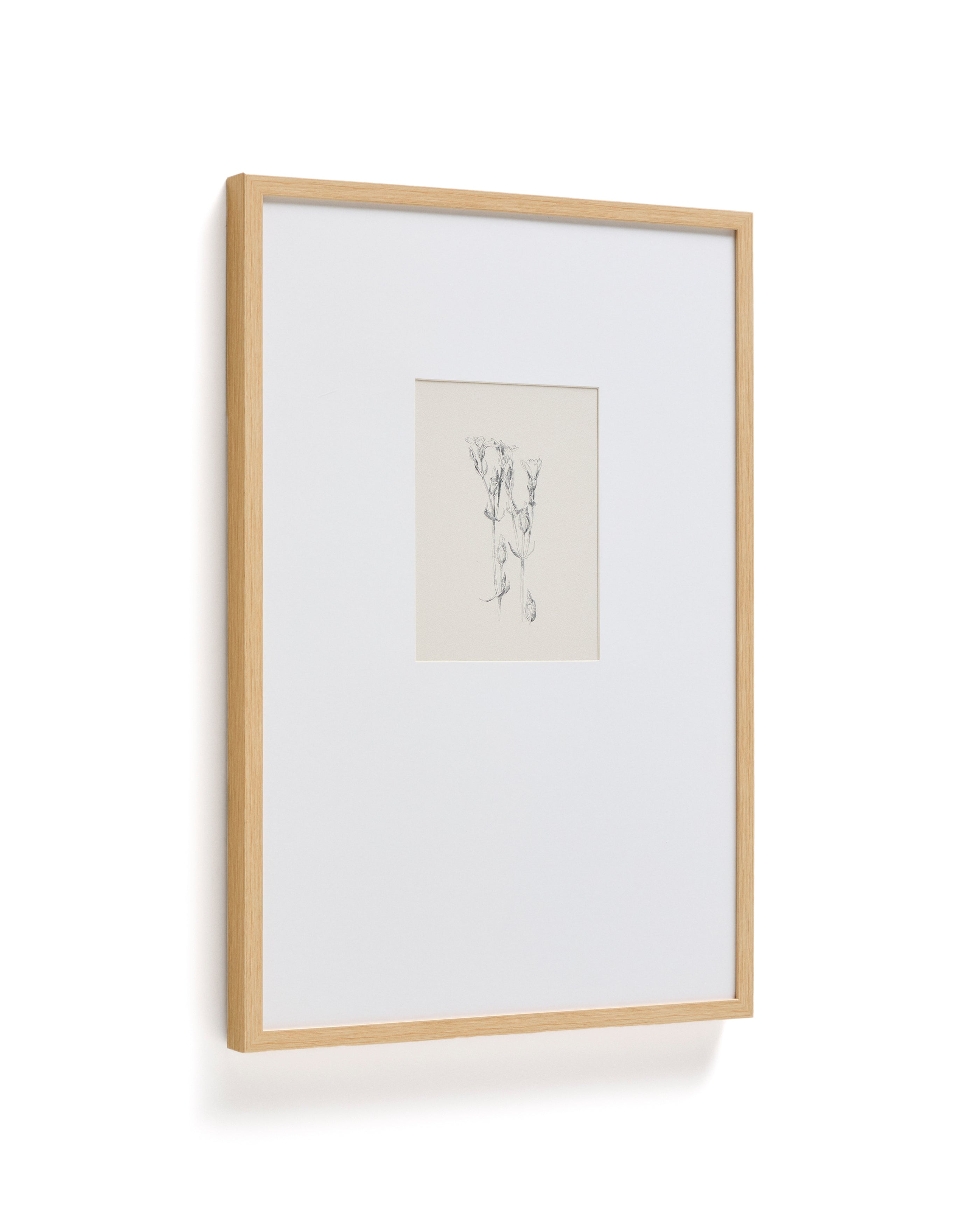Lirena picture with botanical illustration 50 x 70cm - Product Image