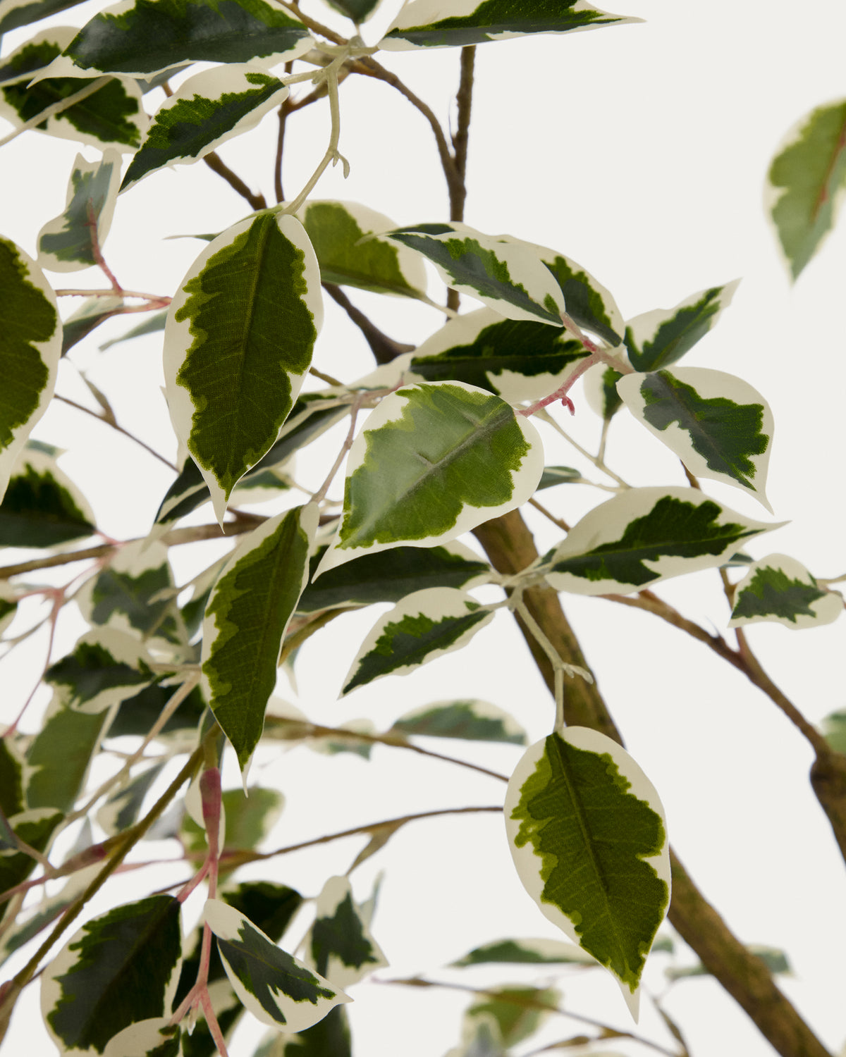 Artificial Ficus Benjamina tree with black pot 180 cm - Detail