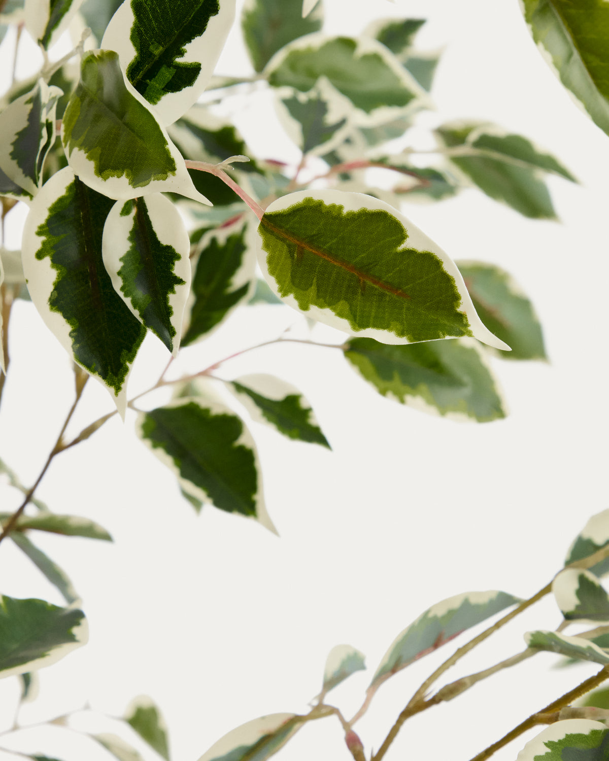 Artificial Ficus Benjamina tree with black pot 180 cm - Detail