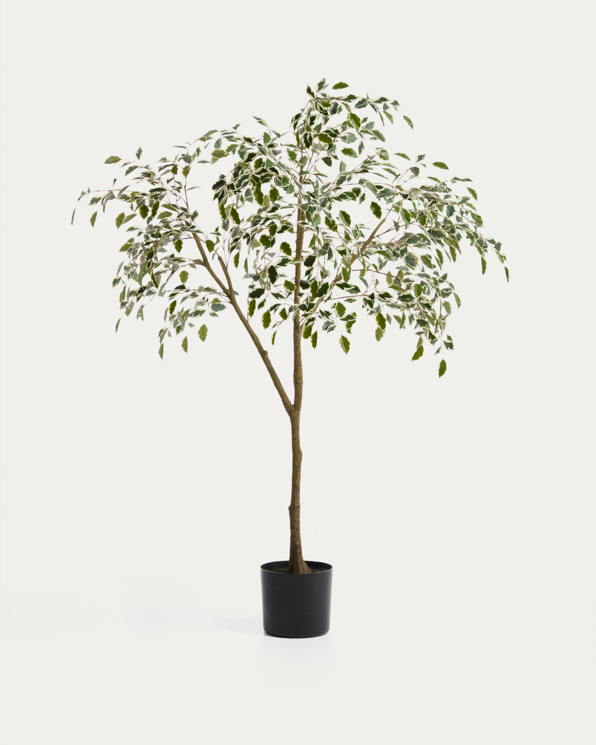 Artificial Ficus Benjamina tree with black pot 180 cm - Product View