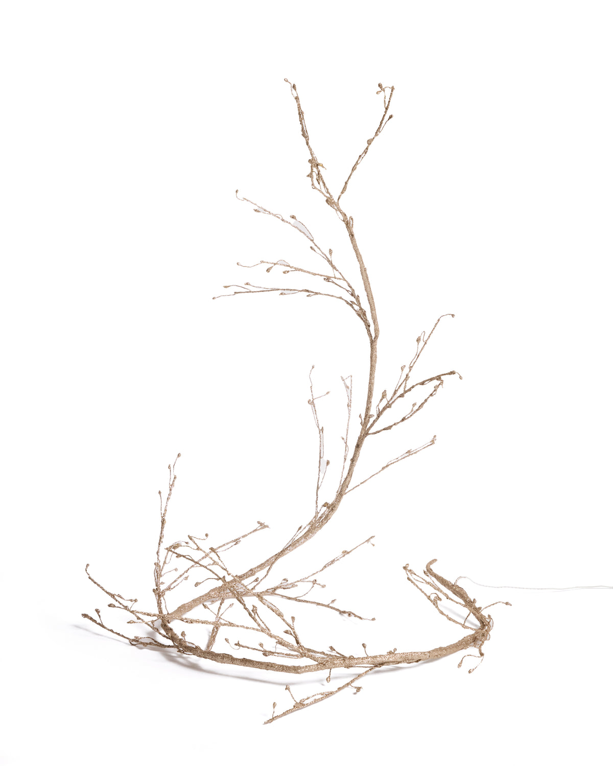 D02124PL83_0V01_HR