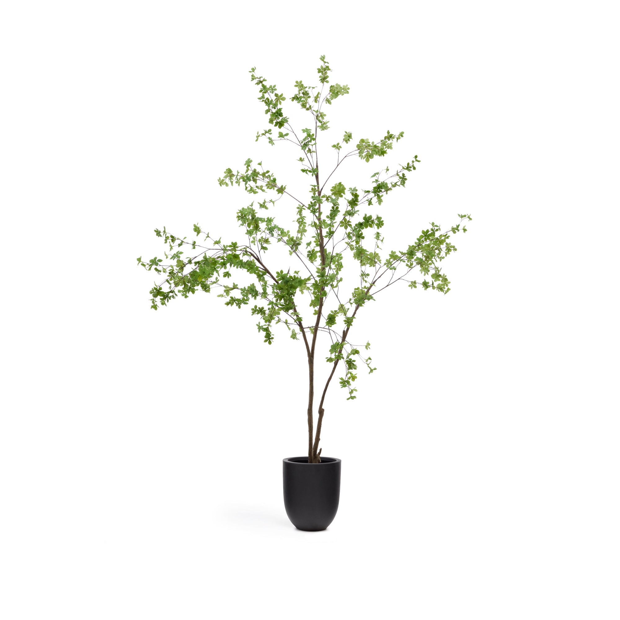 Enkianthus artificial tree with black pot 214 cm - Product Image