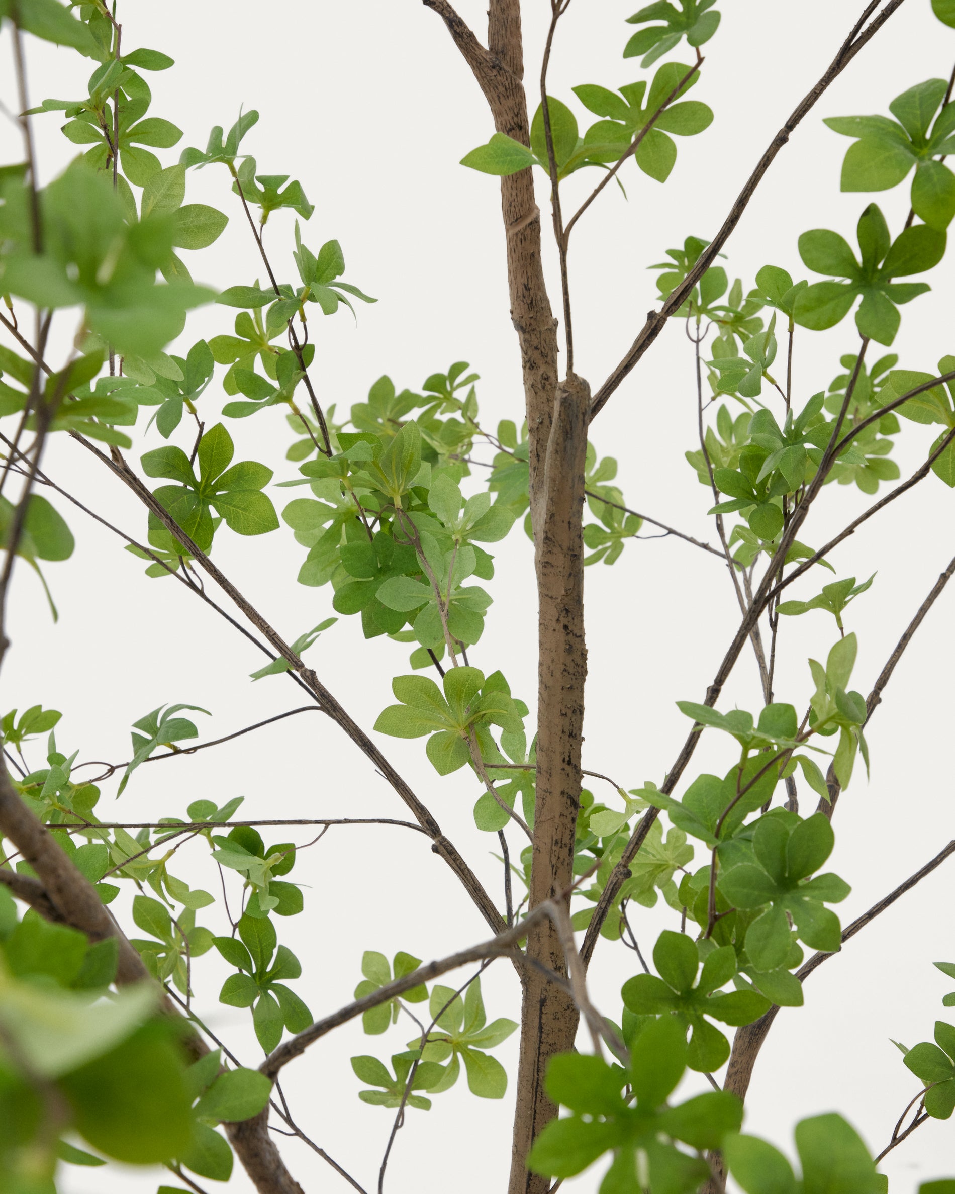 Enkianthus artificial tree with black pot 214 cm - Detail