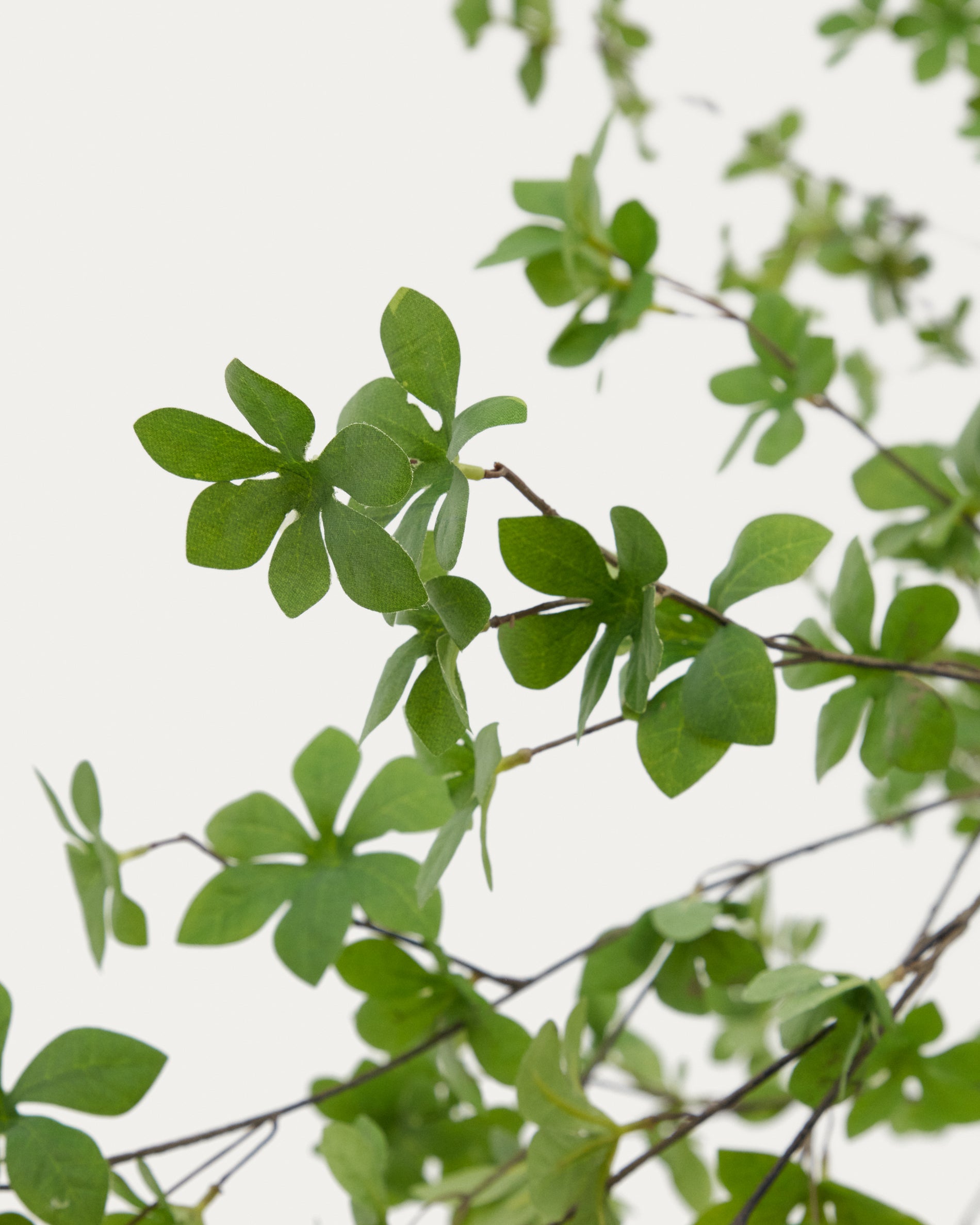 Enkianthus artificial tree with black pot 214 cm - Detail