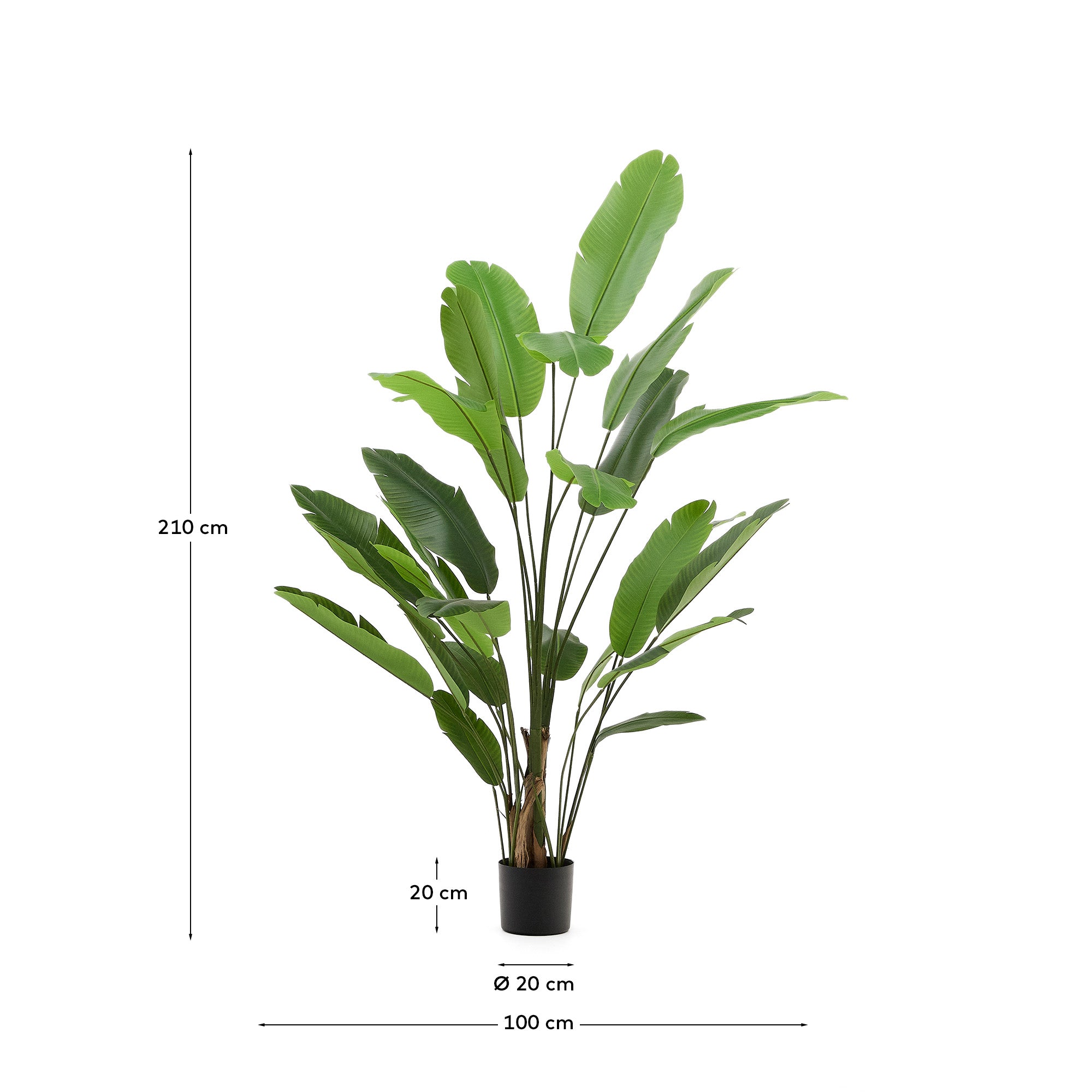 Artificial Banana plant in black pot 210 cm - Measurements