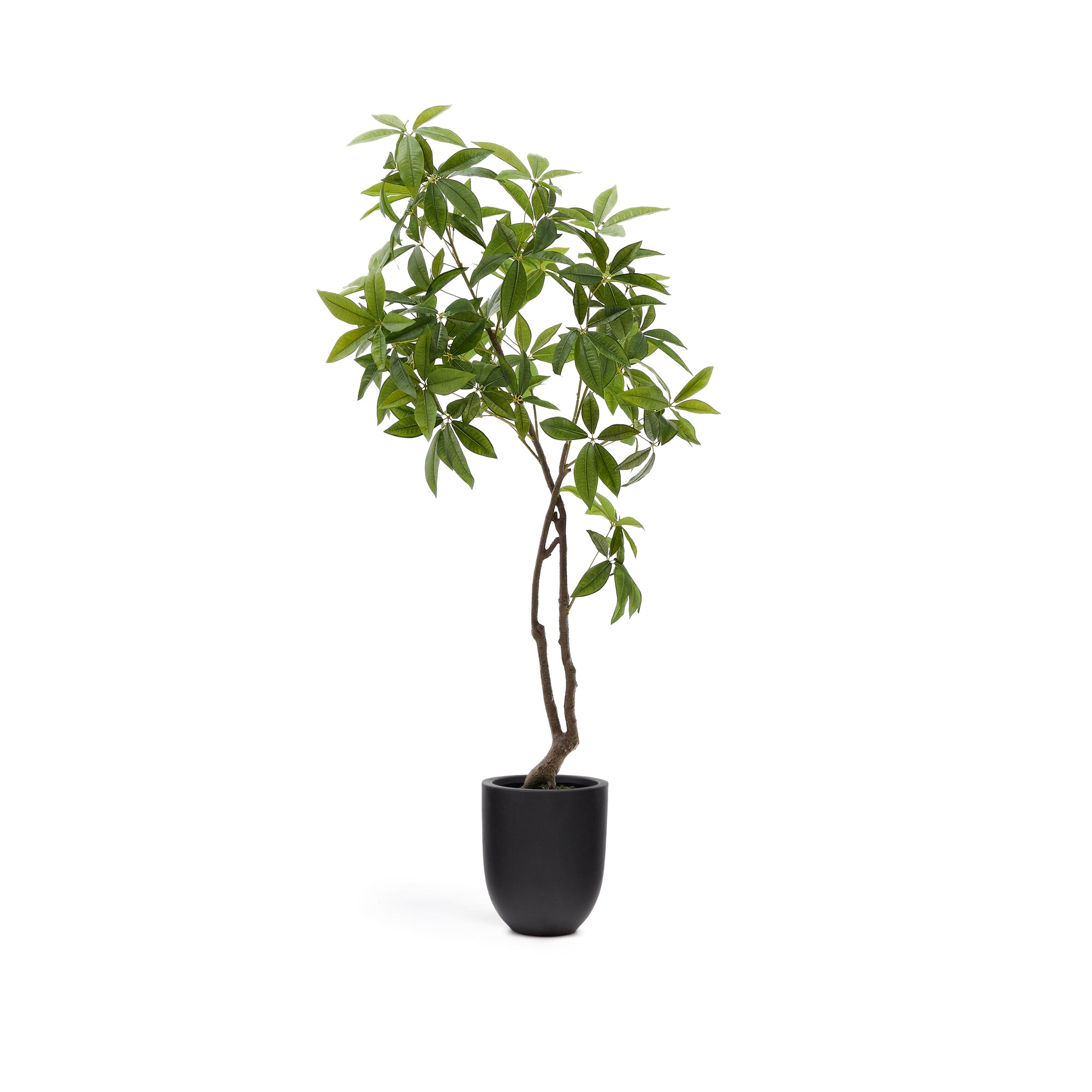 Artificial Pachira tree in black pot 180 cm - Product Image