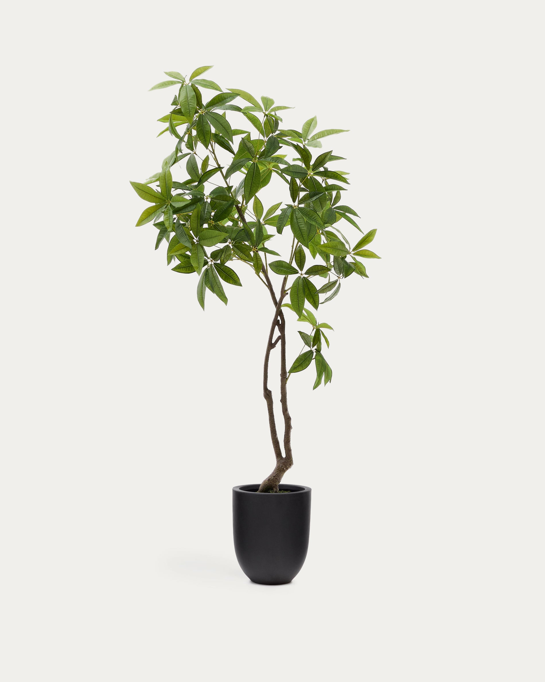 Artificial Pachira tree in black pot 180 cm - Product View