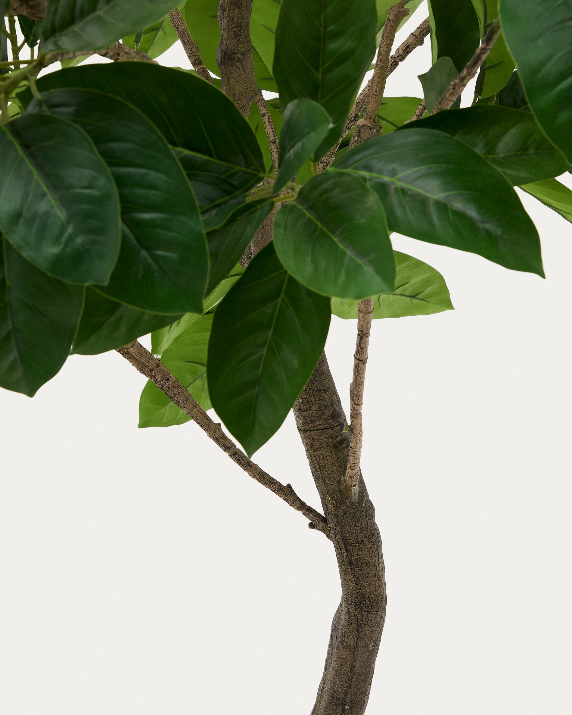 Mesterséges Ficus fa fekete cserépben 210 cm