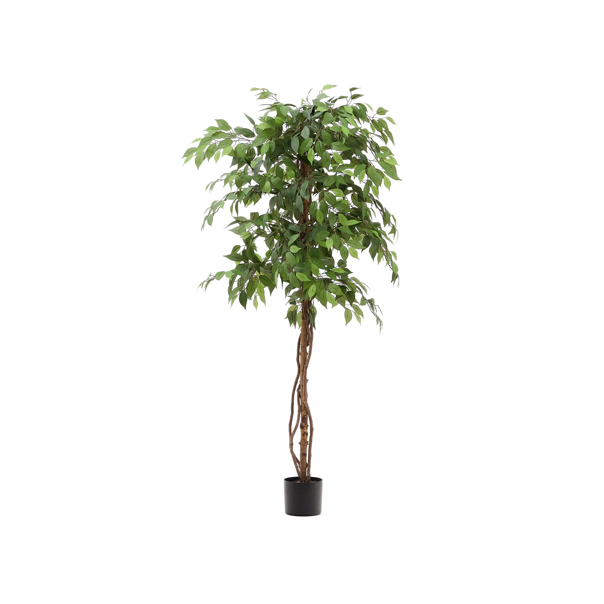 Artificial Ficus tree in black pot 180 cm