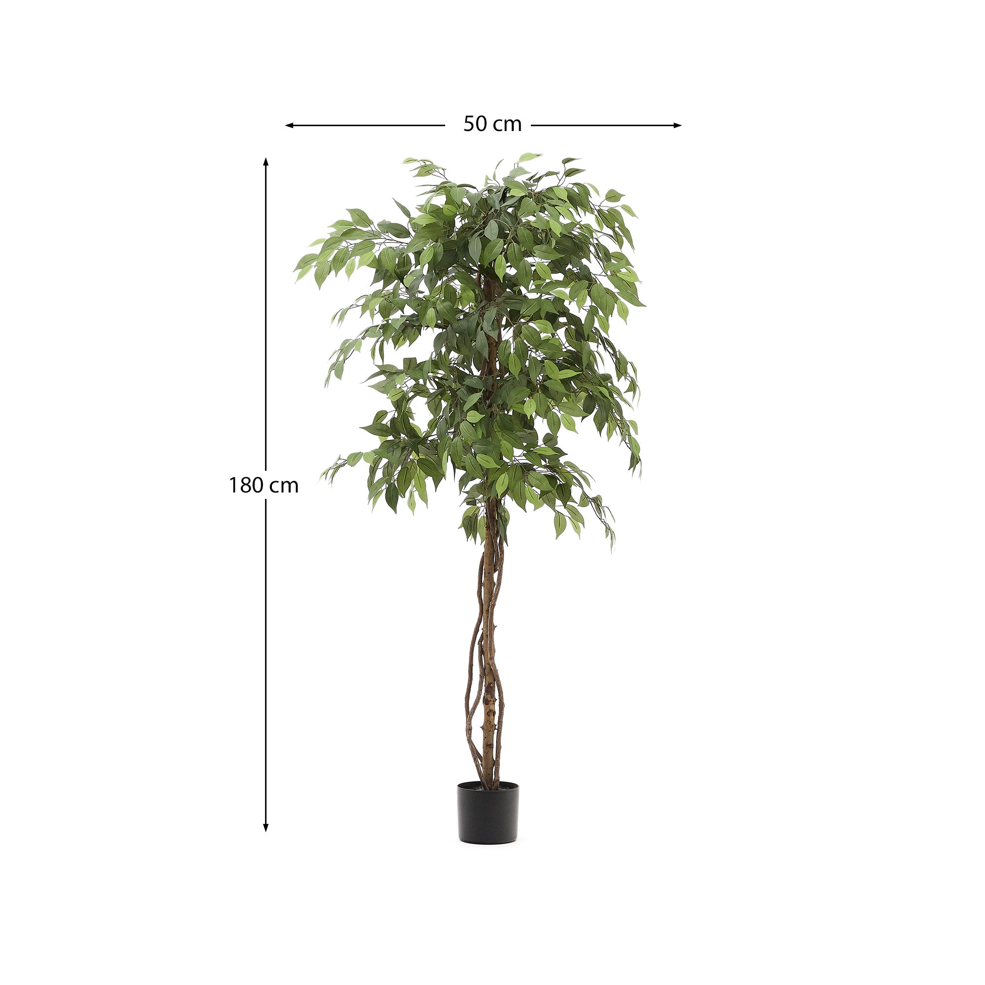 Artificial Ficus tree in black pot 180 cm - Measurements
