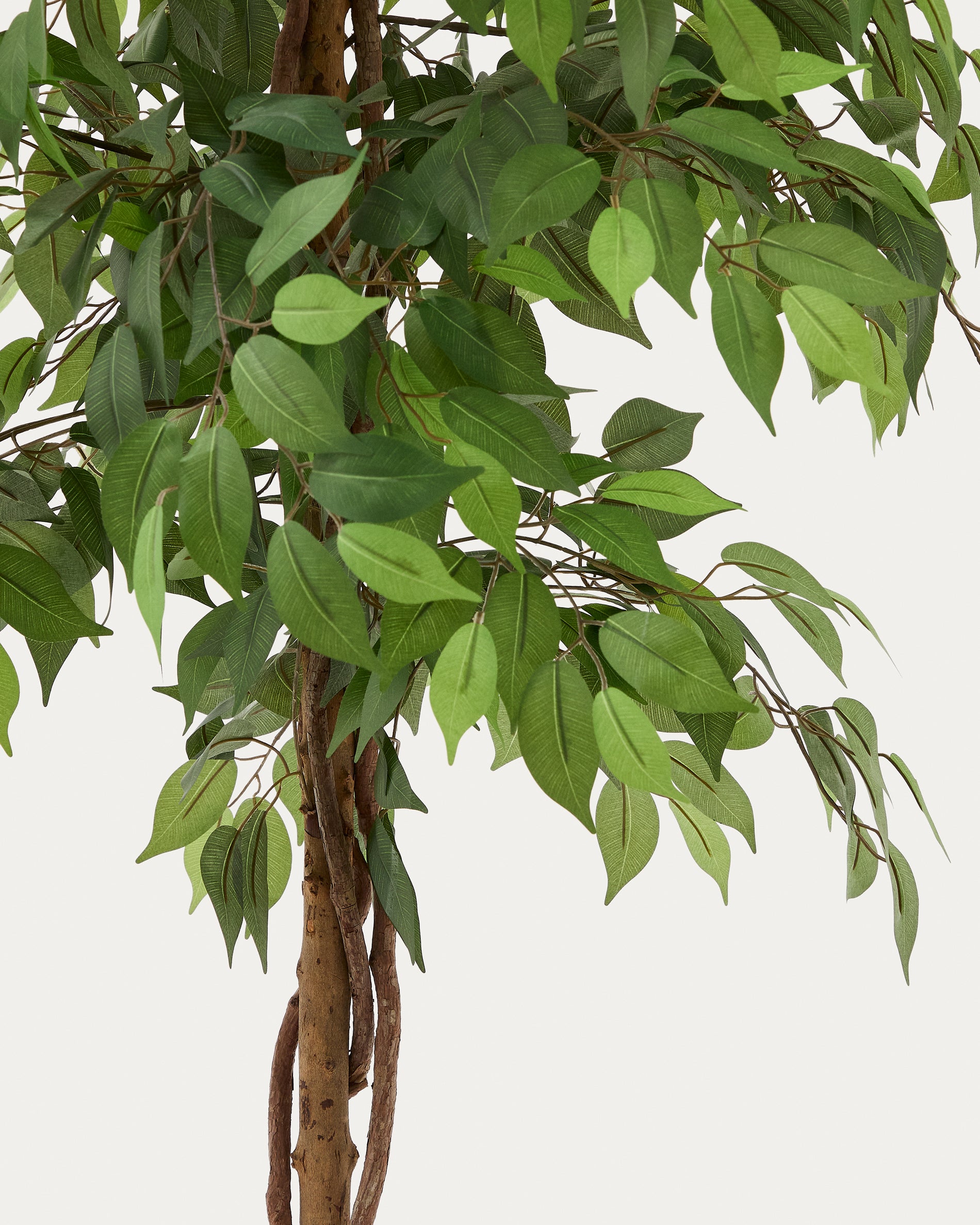 Mesterséges Ficus fa fekete cserépben 180 cm