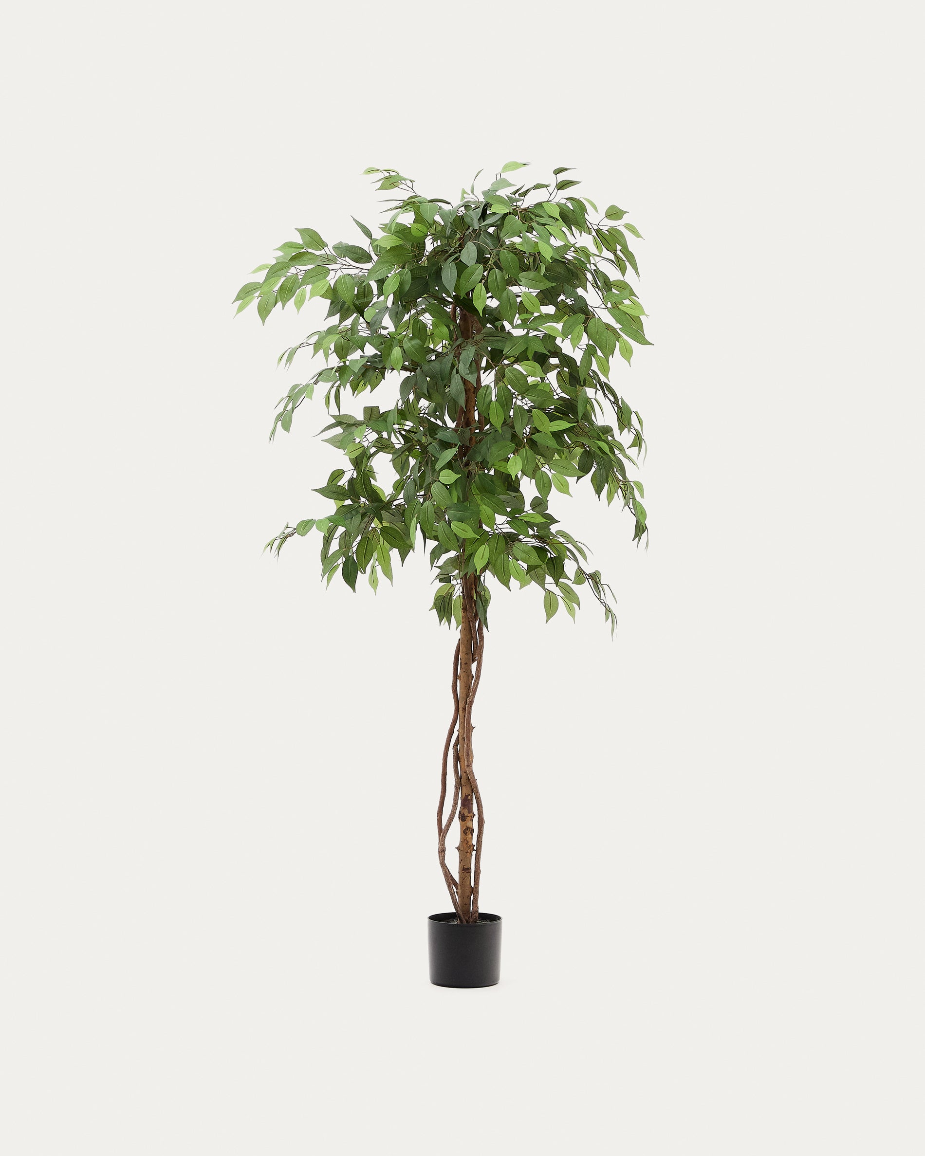 Artificial Ficus tree in black pot 180 cm