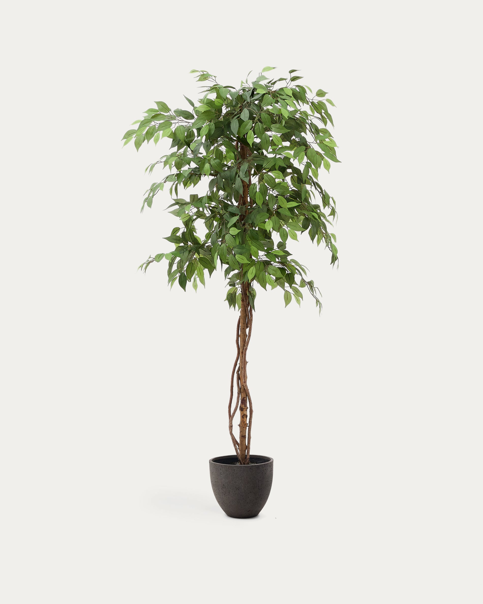 Artificial Ficus tree in black pot 180 cm - Product View
