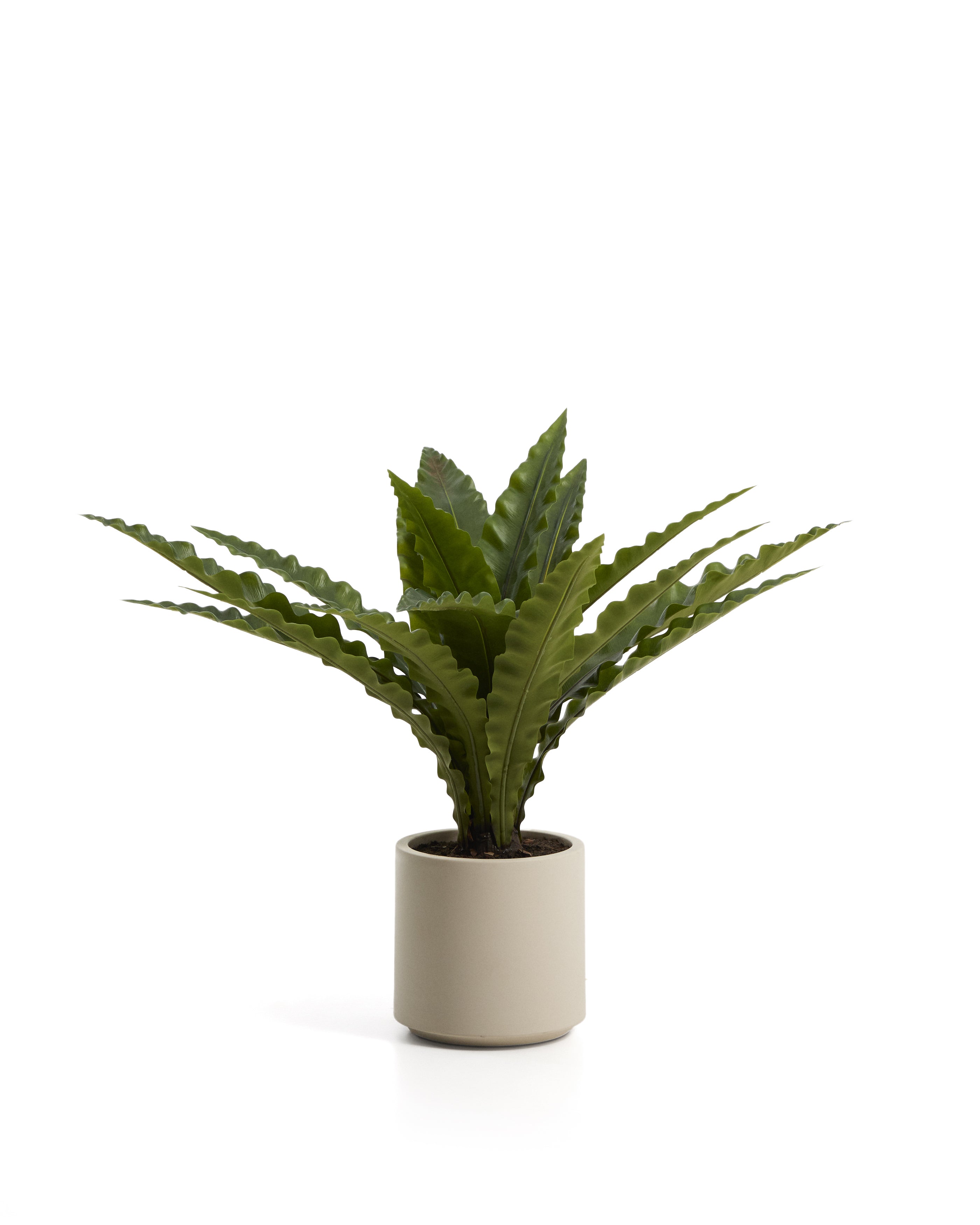 Hcy9CsIwFEDhd7lzyb2t2EBmBwcHUXDxSglN-qMNCU3awZJ3t7geDt8GcW5BwZBSiIqR0QhnzajFR6928M6K1jvG0eneMi5h8towds079IxrKWVFRIeKGMPszdKmyHgiknV5vVDd0IPK5nwT-w4FdFMC9dxgtqA2CKA6PUVbwF-_j989H3cu51f-AQ