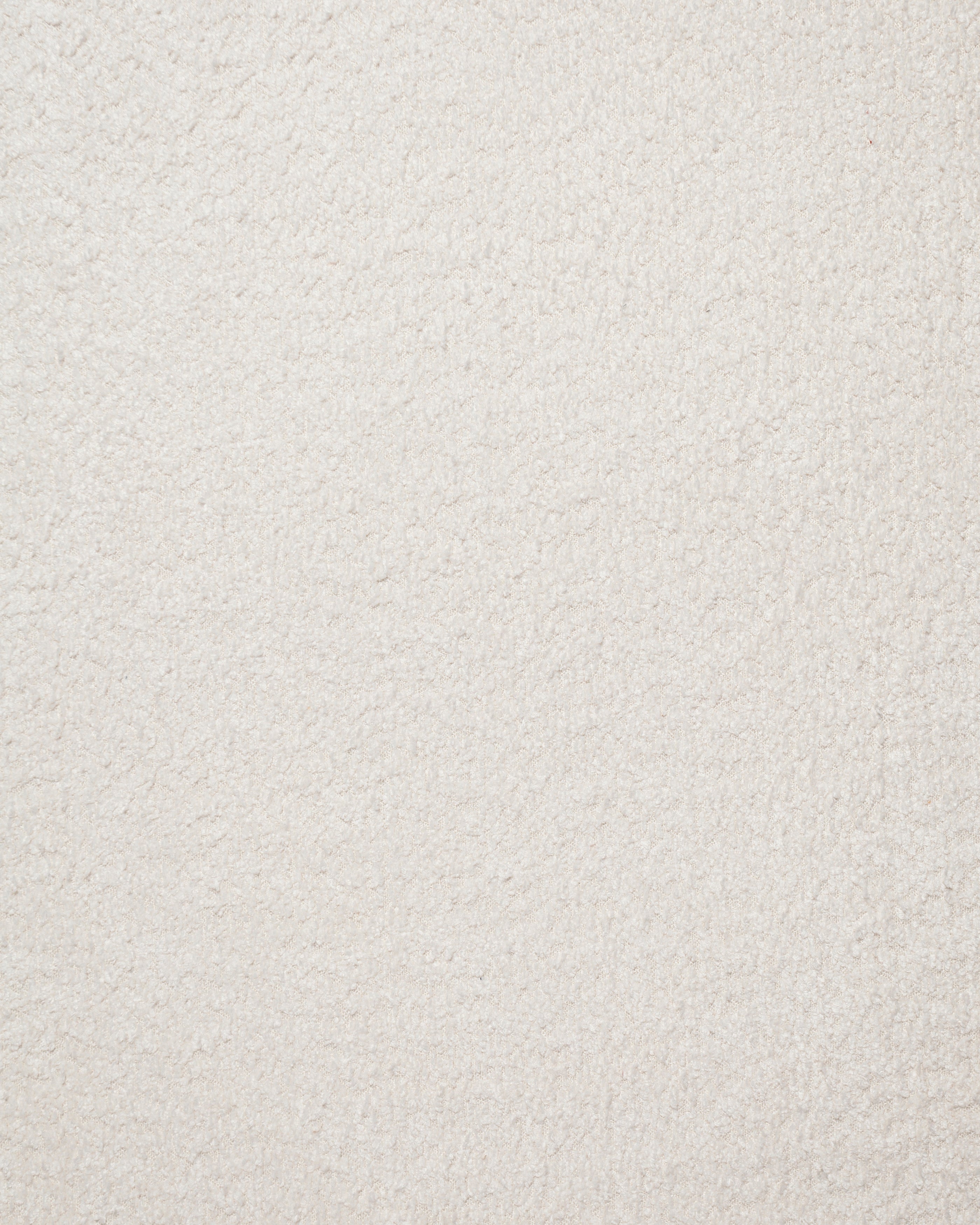 Anthology ecru Fabric Swatch 10 x 15 cm - Product View