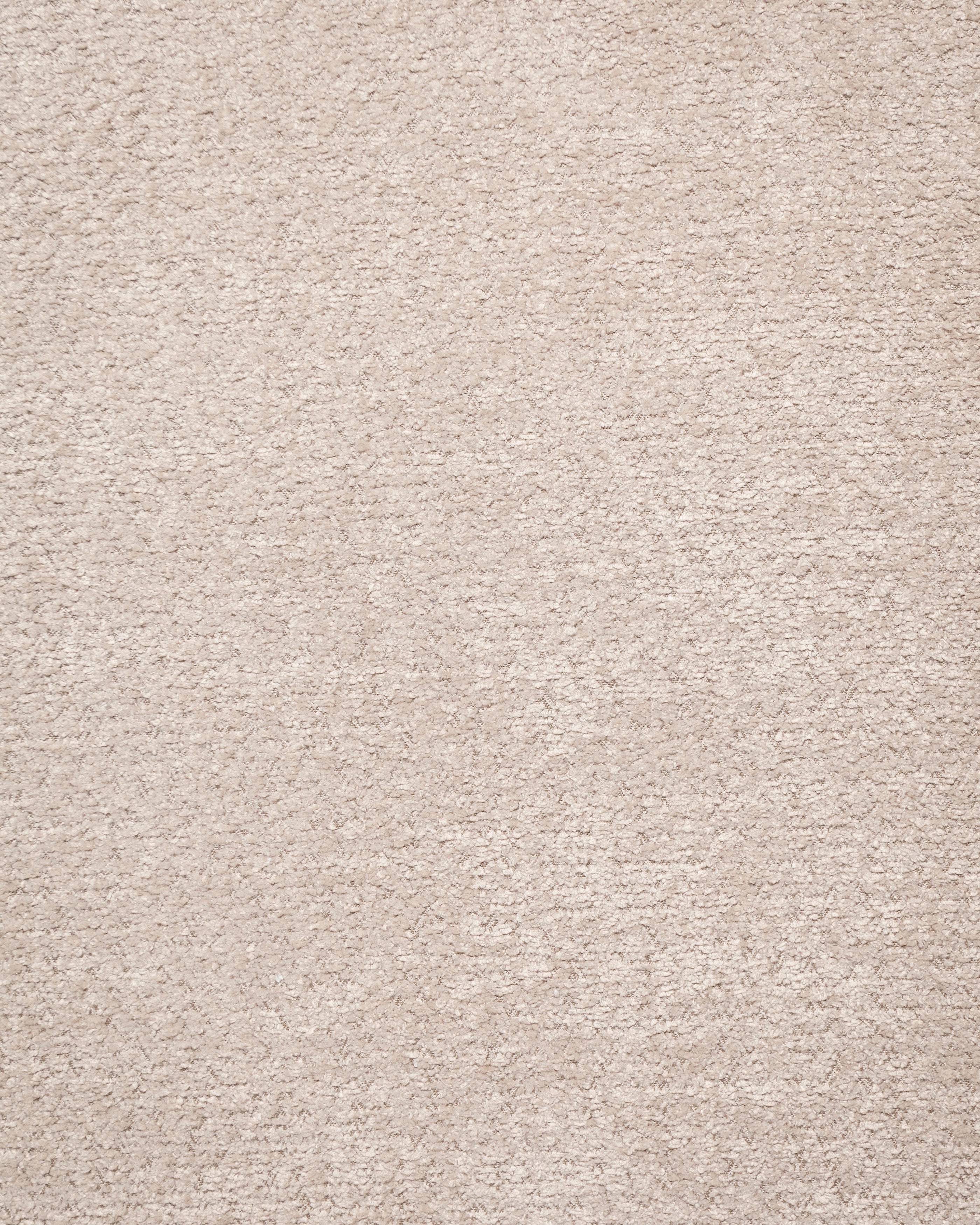 Anthology Beige Fabric Swatch 10 x 15 cm - Product View